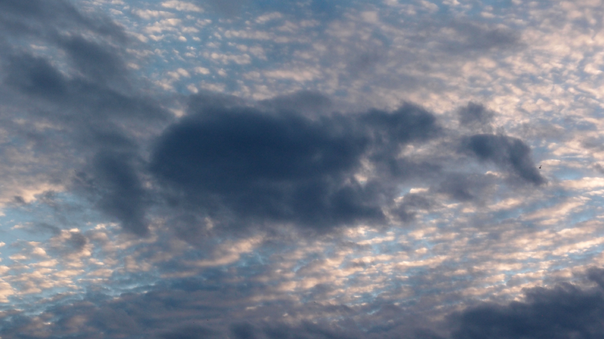 2022-07-16 01 Uhr 30 dkrro (Dachflchenfenster) (Fieldrecording Audio)