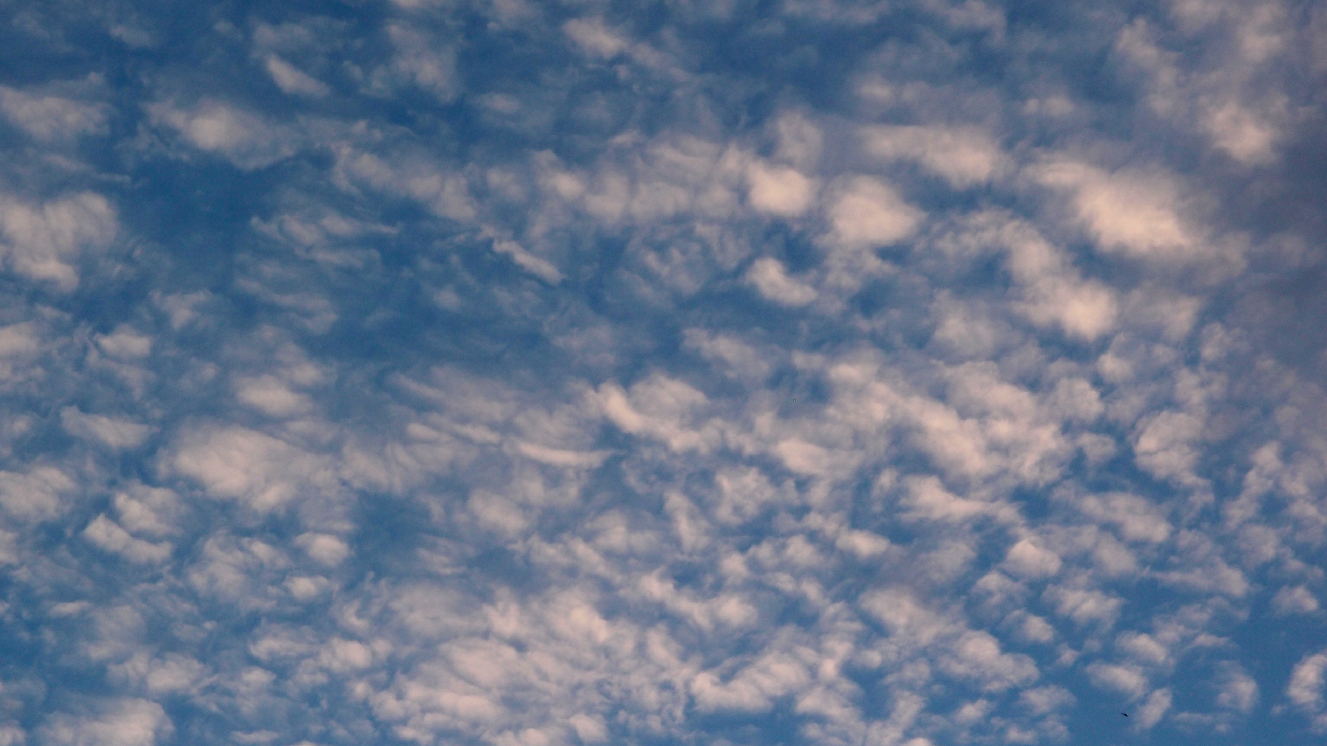 2022-07-16 01 Uhr 30 dkrro (Dachflchenfenster) (Fieldrecording Audio)