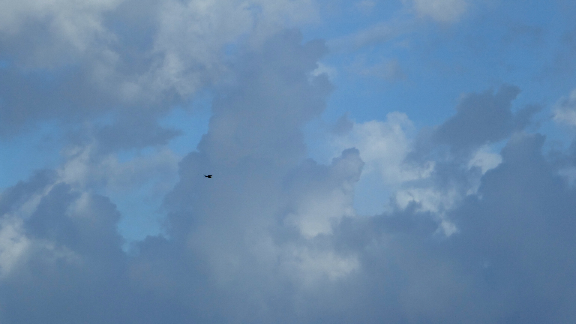 2022-10-22 06 Uhr 35 Regenbogen (Foto)