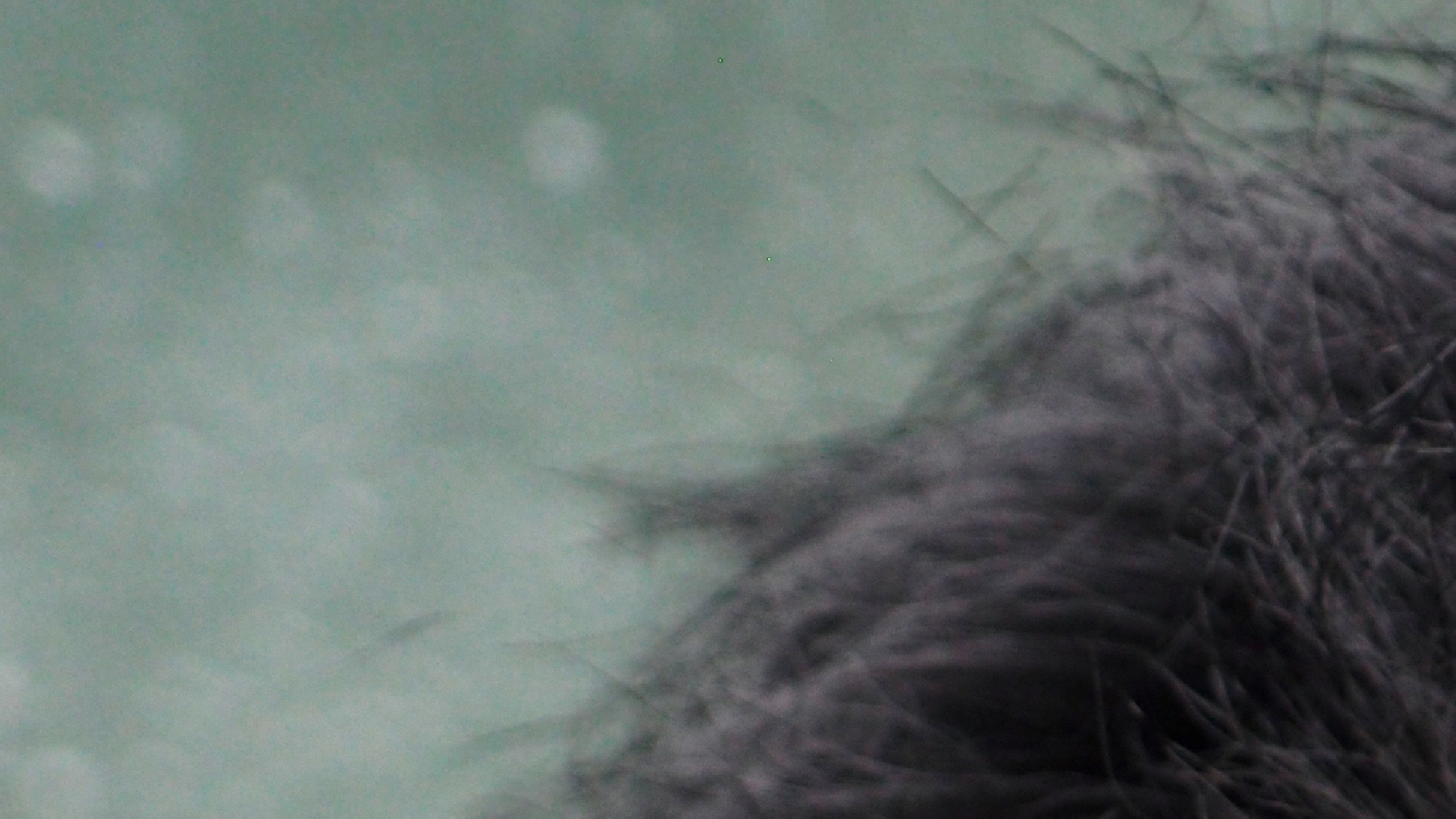 2022-10-26 05 Uhr 31 Wellen nach dem Sturm (Audio, Foto, Video)