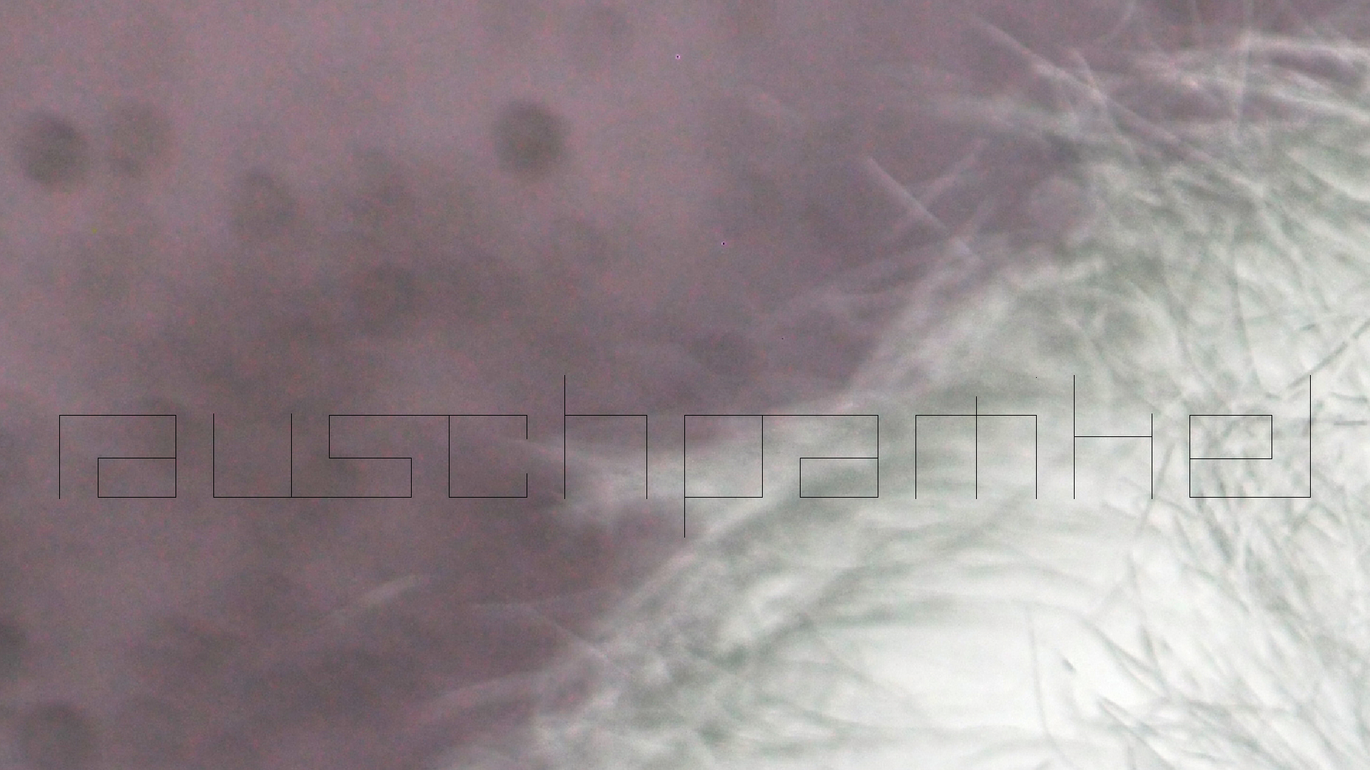 2022-10-26 05 Uhr 31 Wellen nach dem Sturm (Audio, Foto, Video)