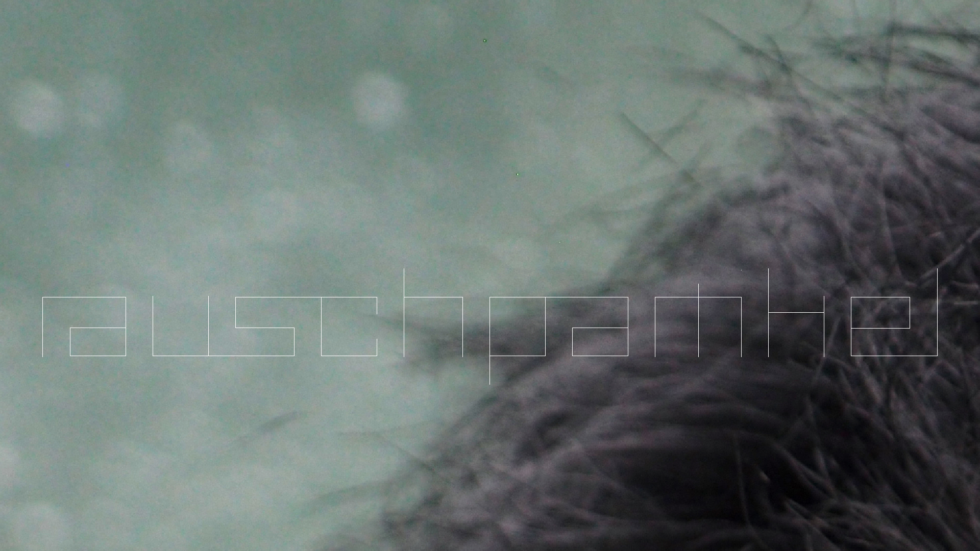 2022-10-26 05 Uhr 31 Wellen nach dem Sturm (Audio, Foto, Video)