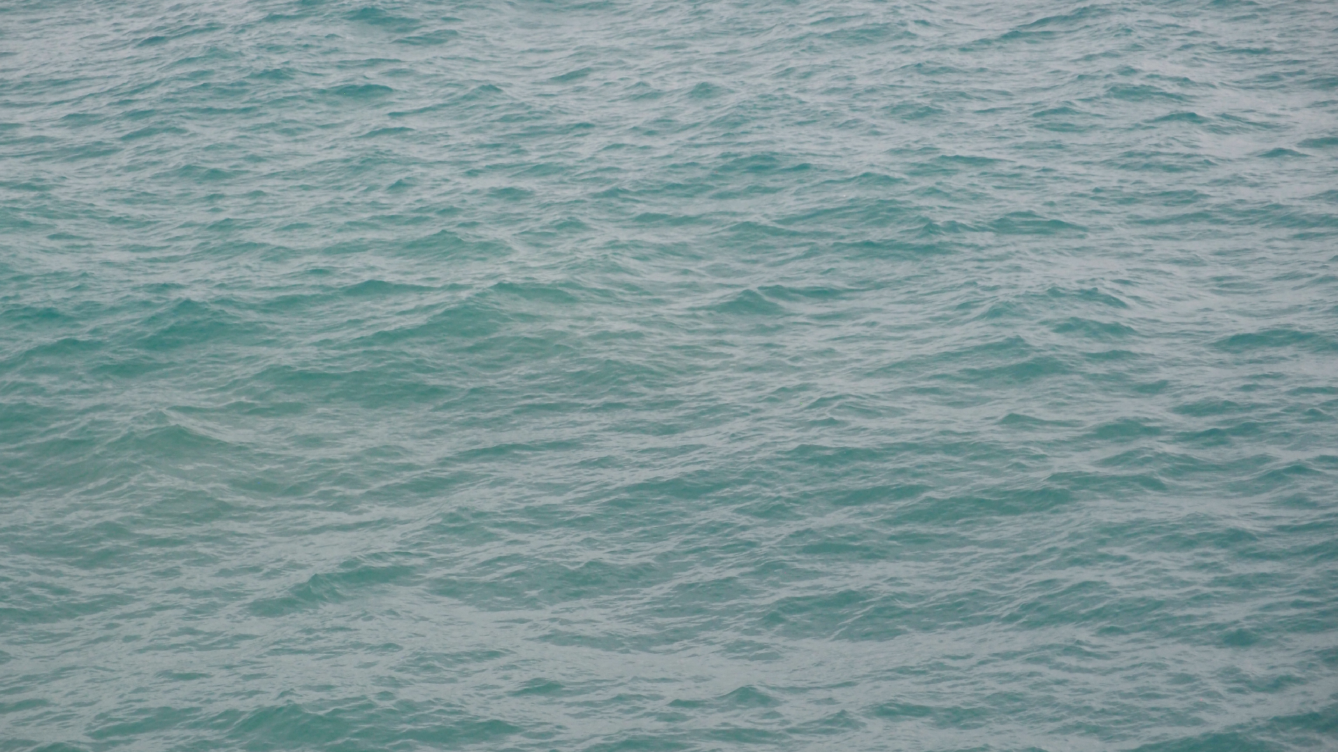 2022-10-26 05 Uhr 31 Wellen nach dem Sturm (Audio, Foto, Video)