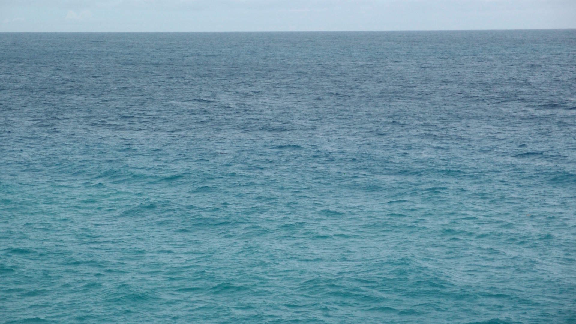 2022-10-26 05 Uhr 31 Wellen nach dem Sturm (Audio, Foto, Video)