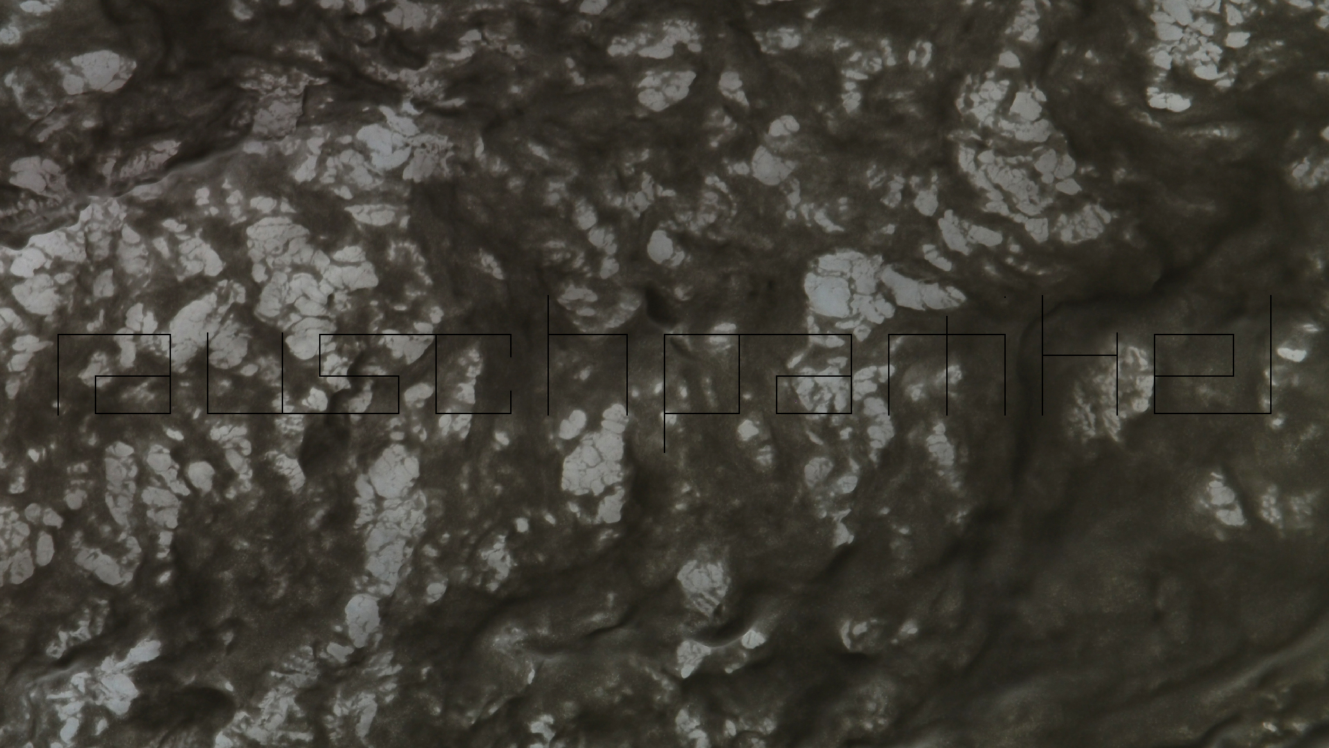 2022-10-26 09 Uhr 01 Wellen nach dem Sturm (Foto, Video)