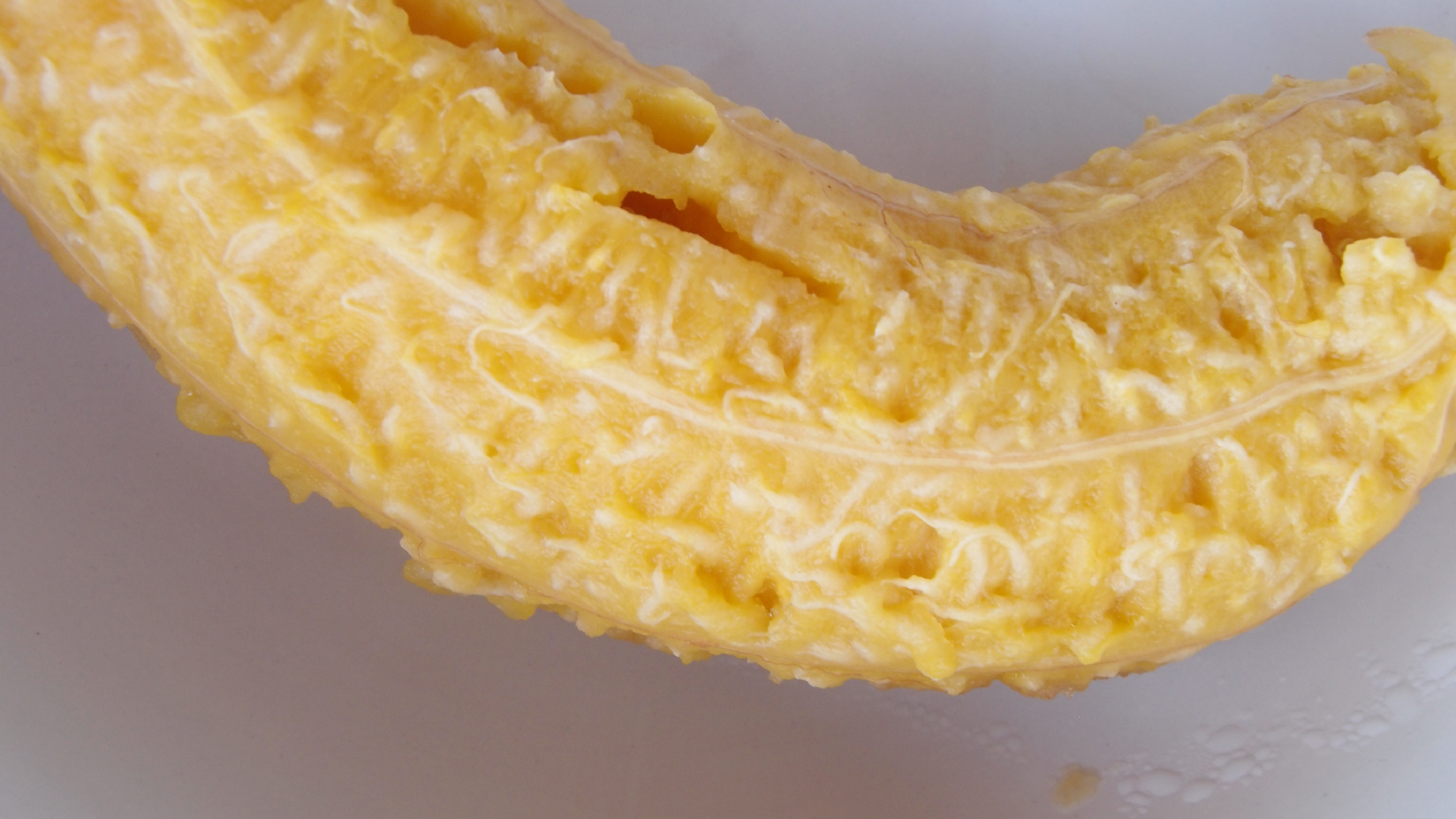 2022-10-29 07 Uhr 12 Kochbananen (Foto)