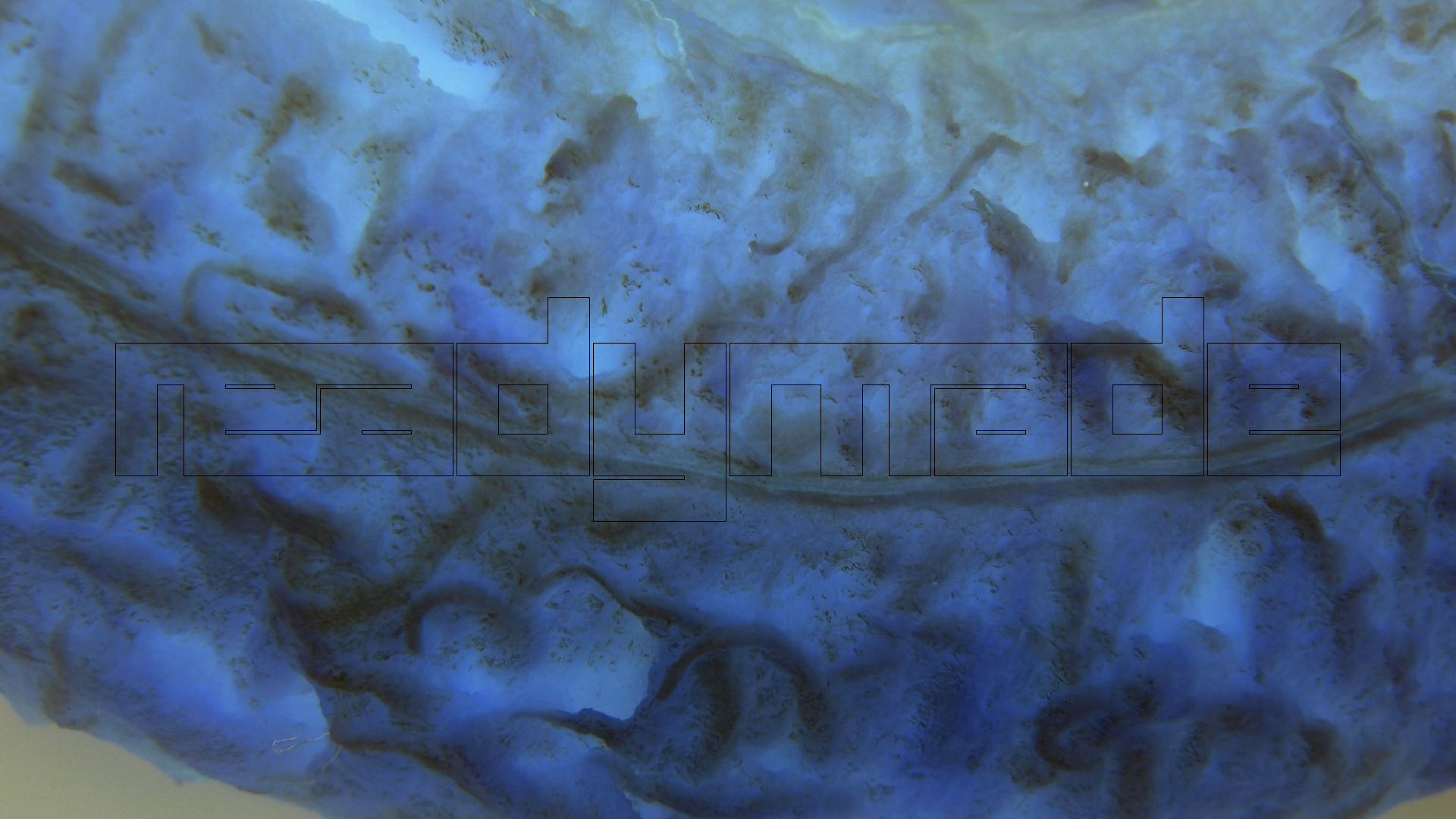 2022-10-29 07 Uhr 12 Kochbananen (Foto)