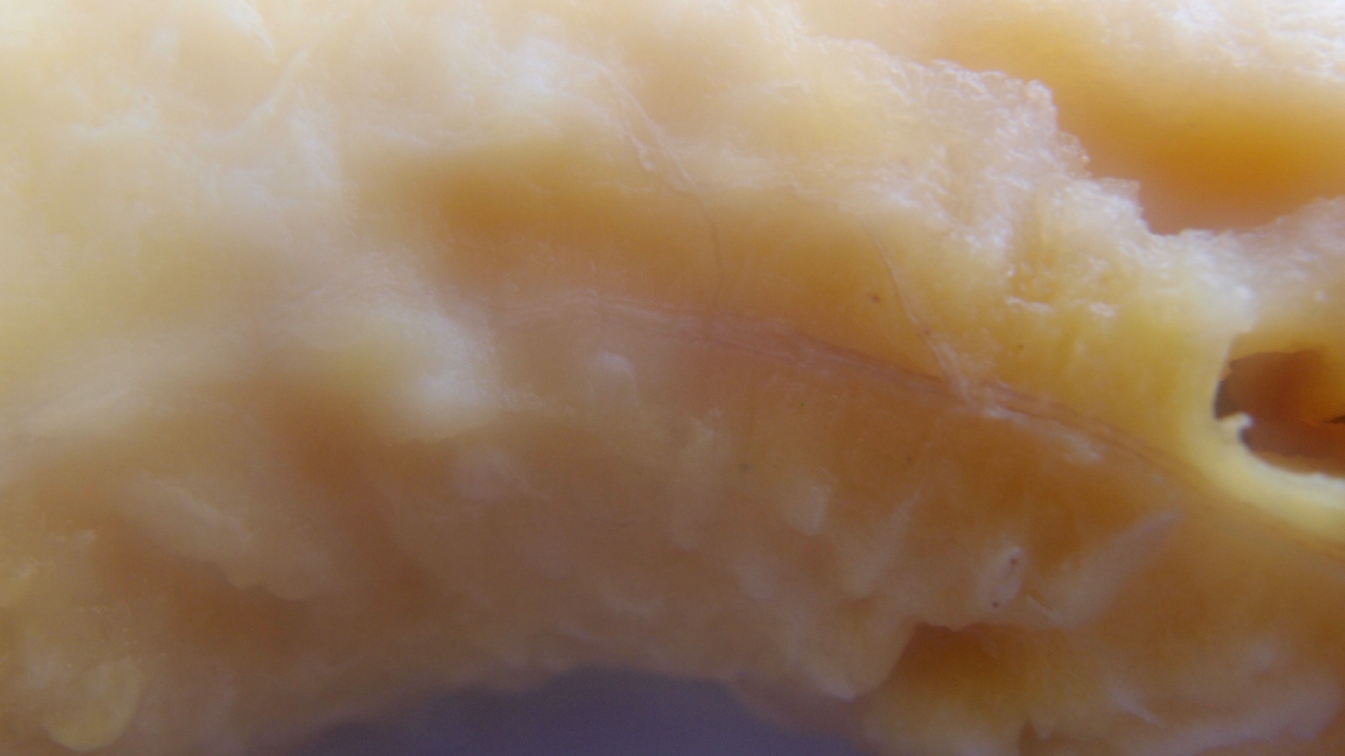 2022-10-29 07 Uhr 12 Kochbananen (Foto)