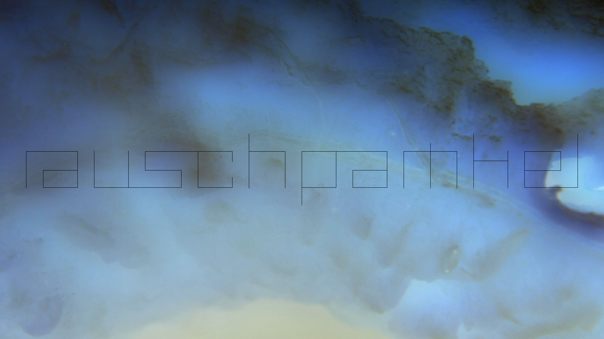 2022-10-29 07 Uhr 12 Kochbananen (Foto)