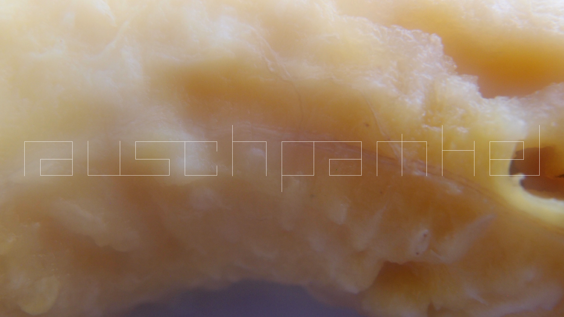 2022-10-29 07 Uhr 12 Kochbananen (Foto)