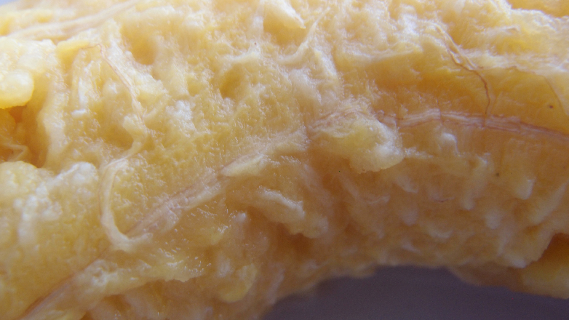 2022-10-29 07 Uhr 12 Kochbananen (Foto)