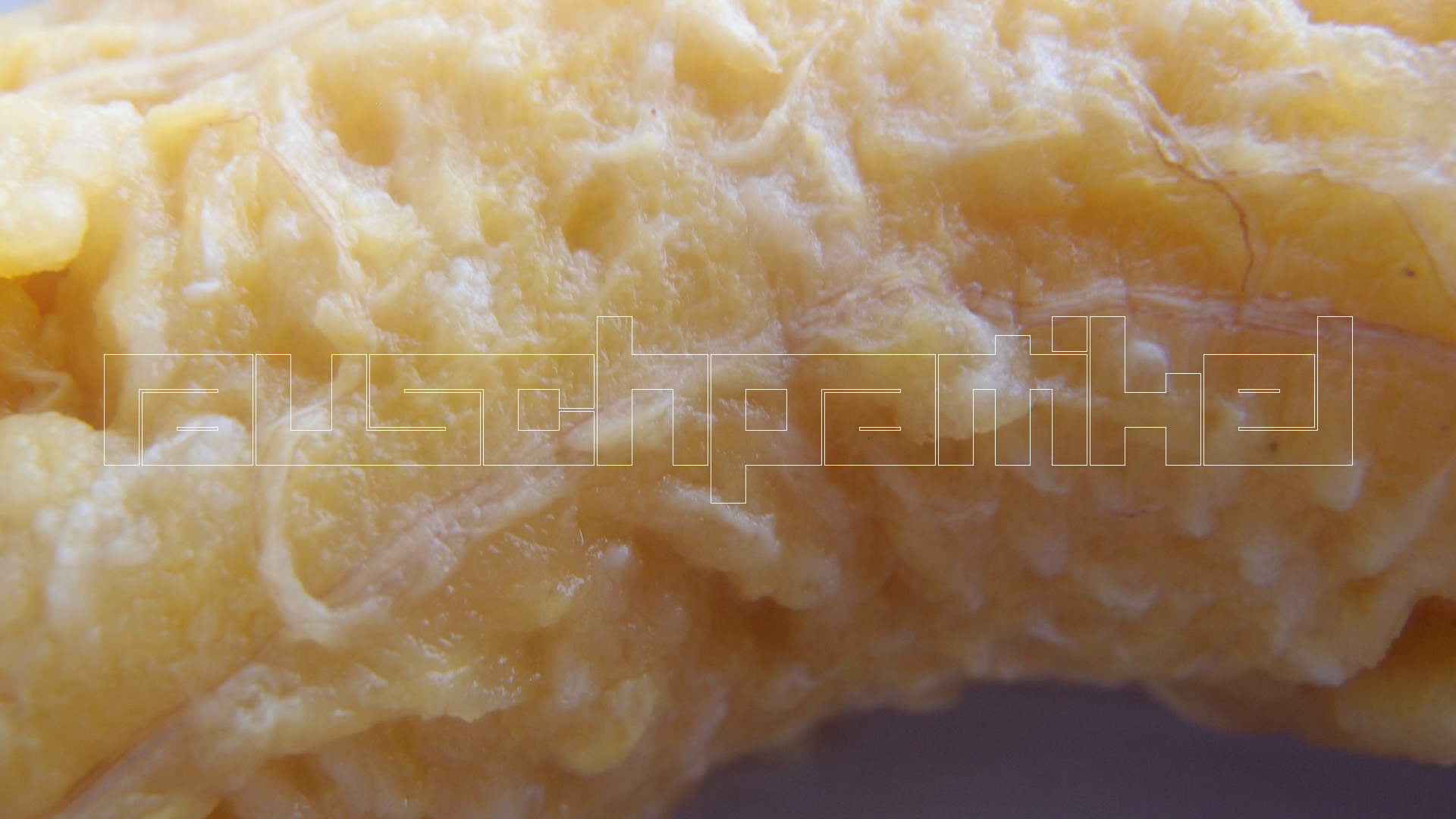 2022-10-29 07 Uhr 12 Kochbananen (Foto)