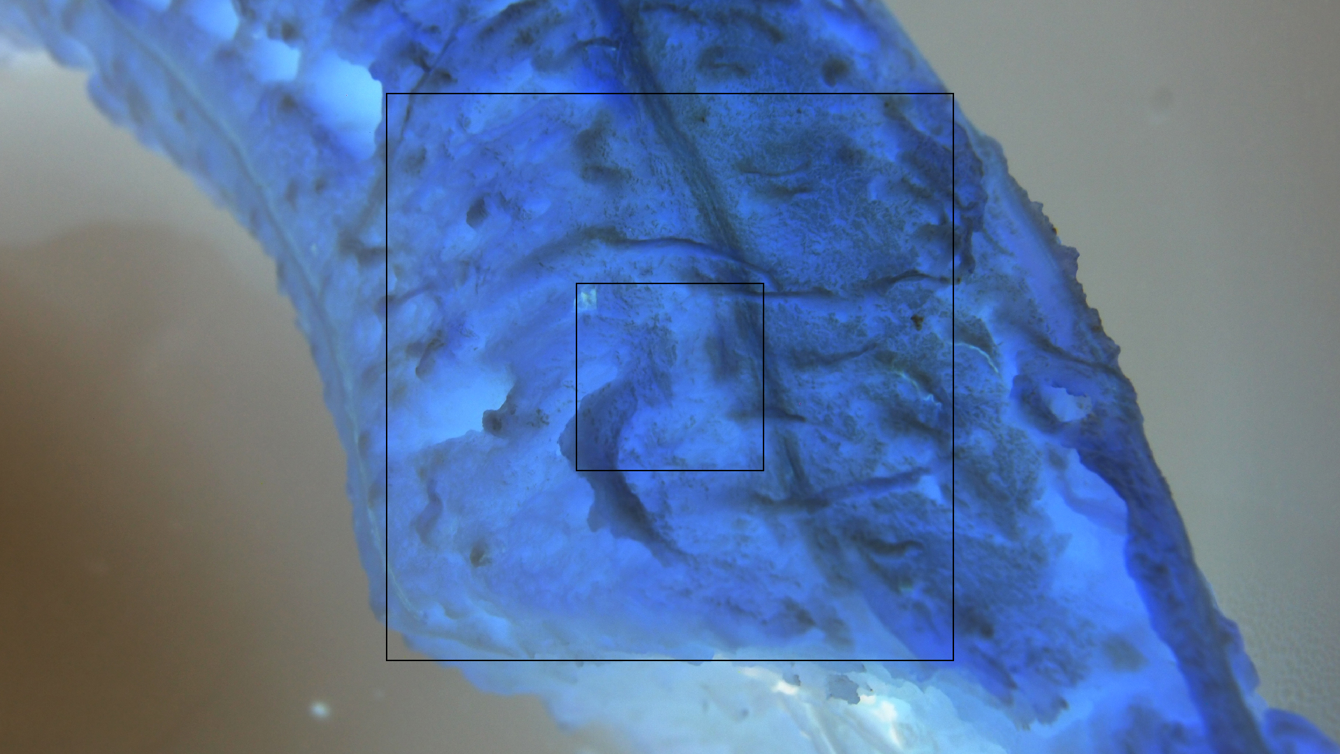 2022-10-29 07 Uhr 12 Kochbananen (Foto)