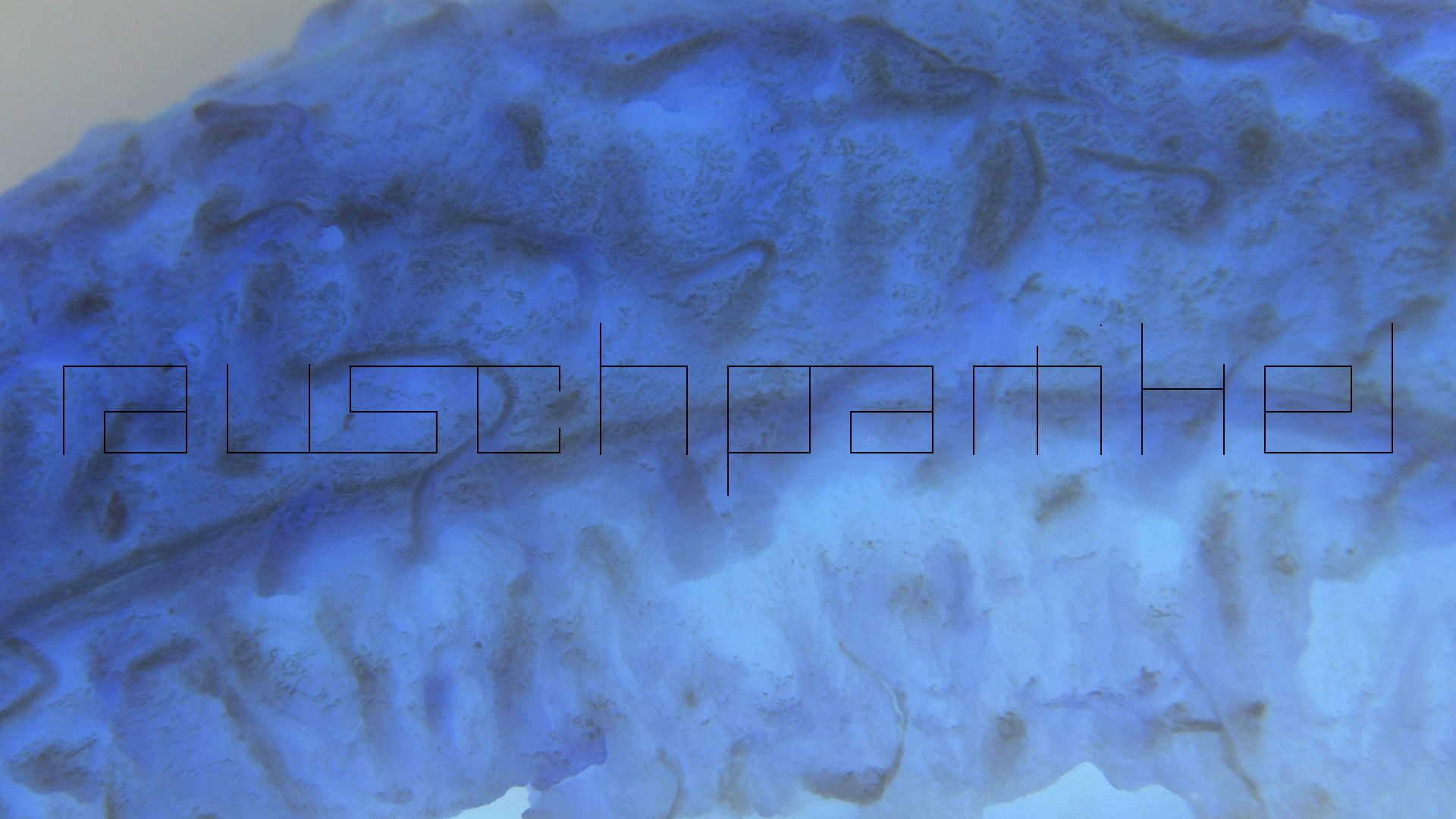 2022-10-29 07 Uhr 12 Kochbananen (Foto)