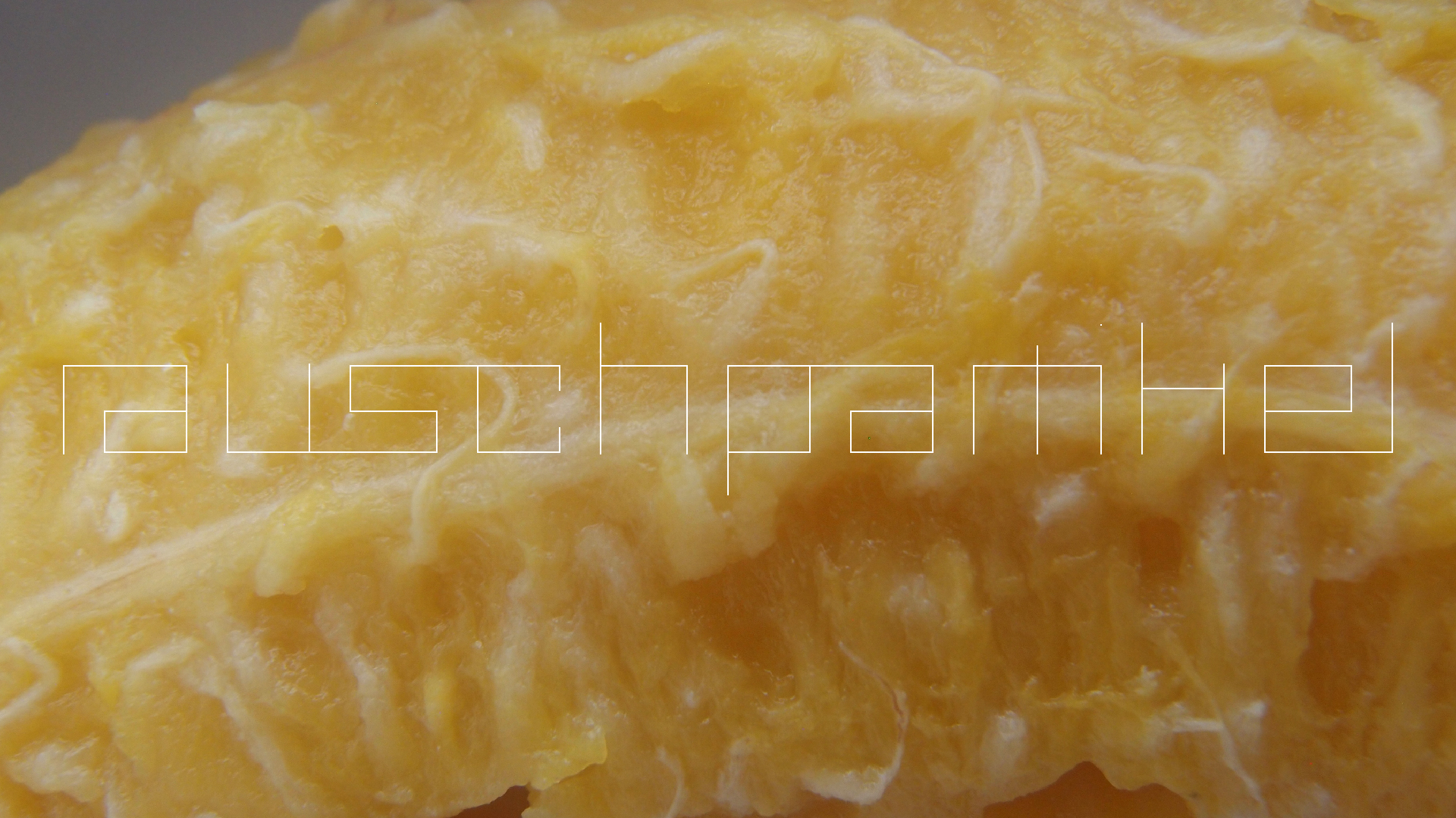 2022-10-29 07 Uhr 12 Kochbananen (Foto)