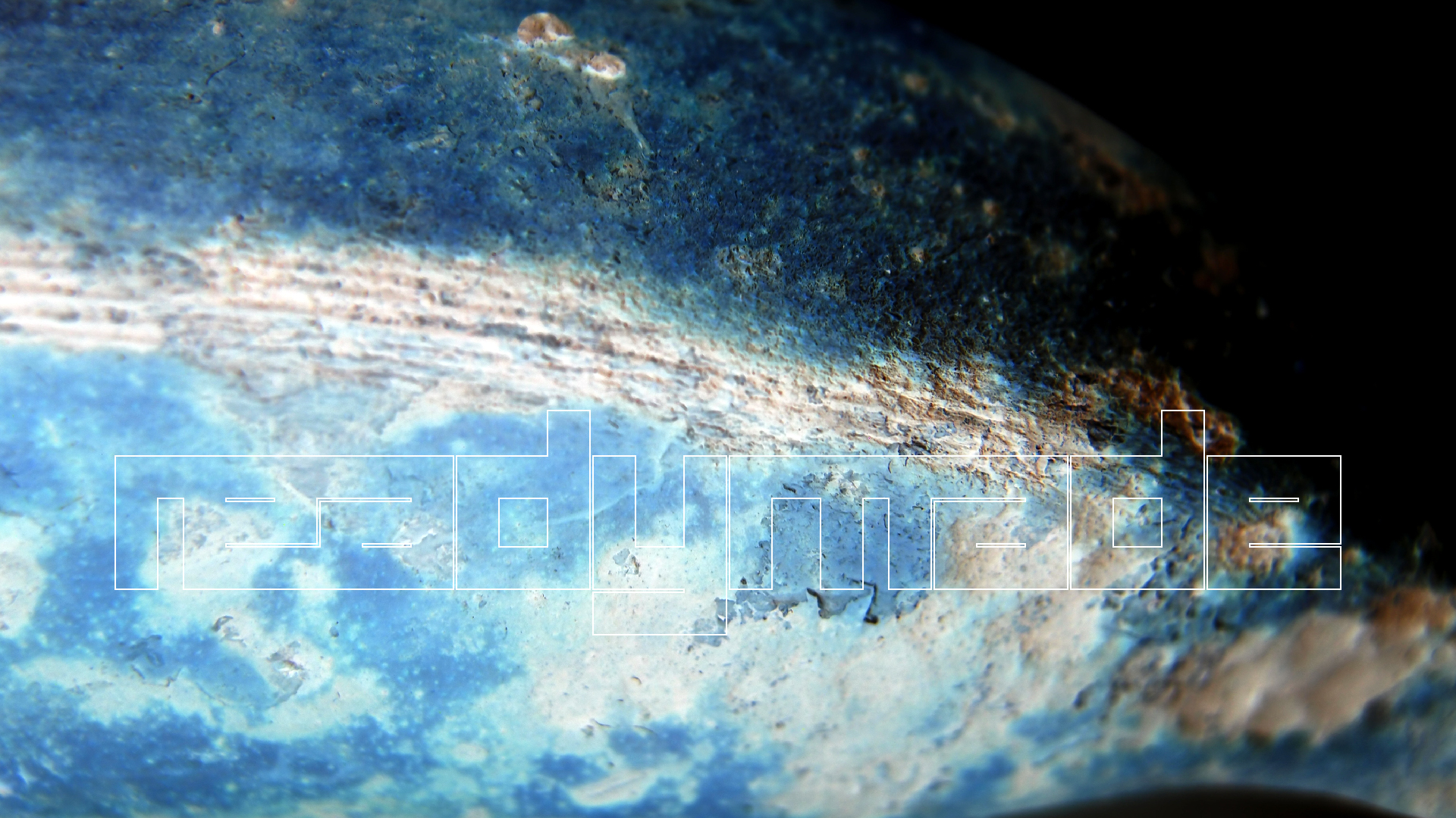 2022-10-29 07 Uhr 12 Kochbananen (Foto)