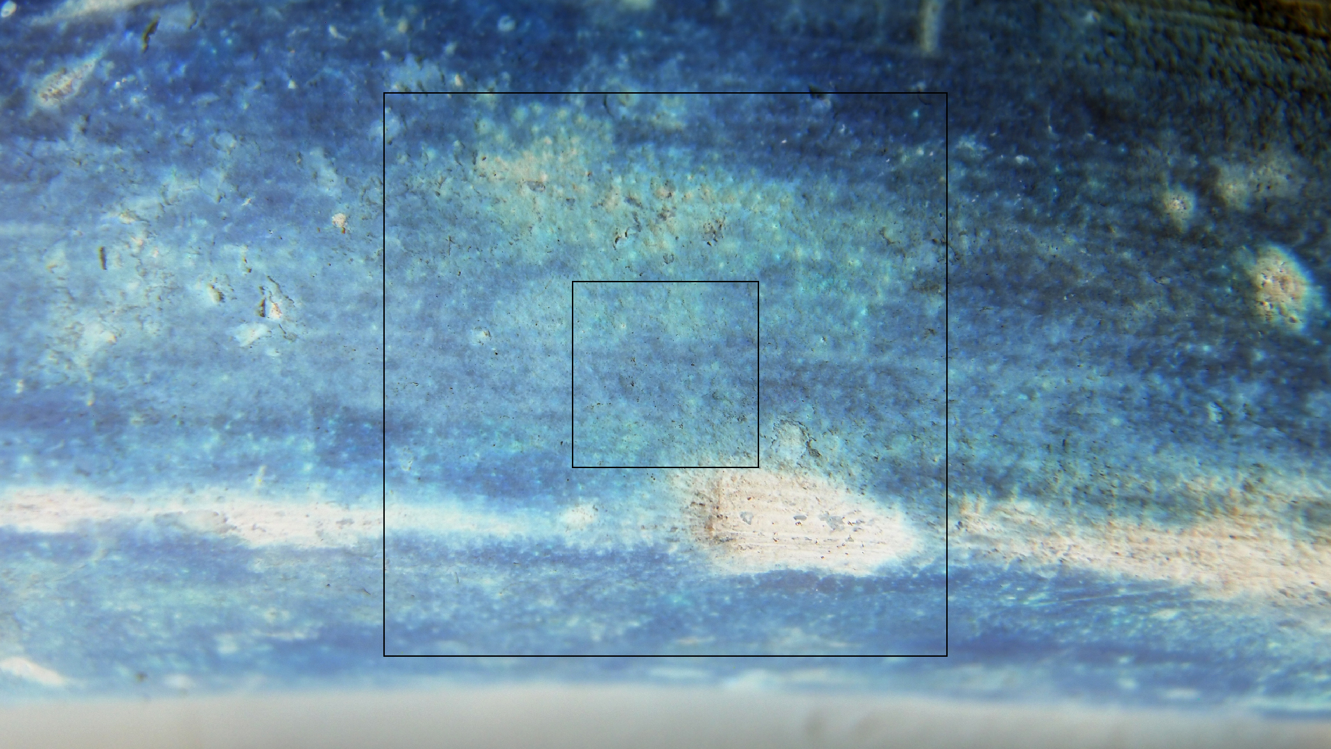 2022-10-29 07 Uhr 12 Kochbananen (Foto)