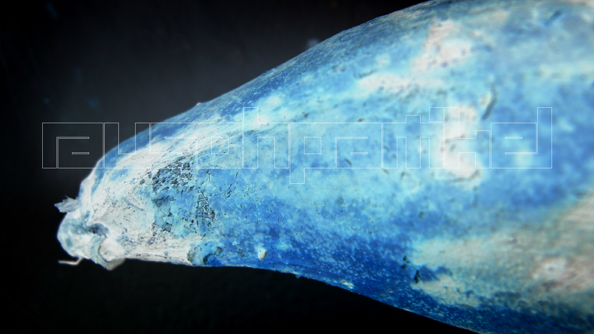 2022-10-29 07 Uhr 12 Kochbananen (Foto)