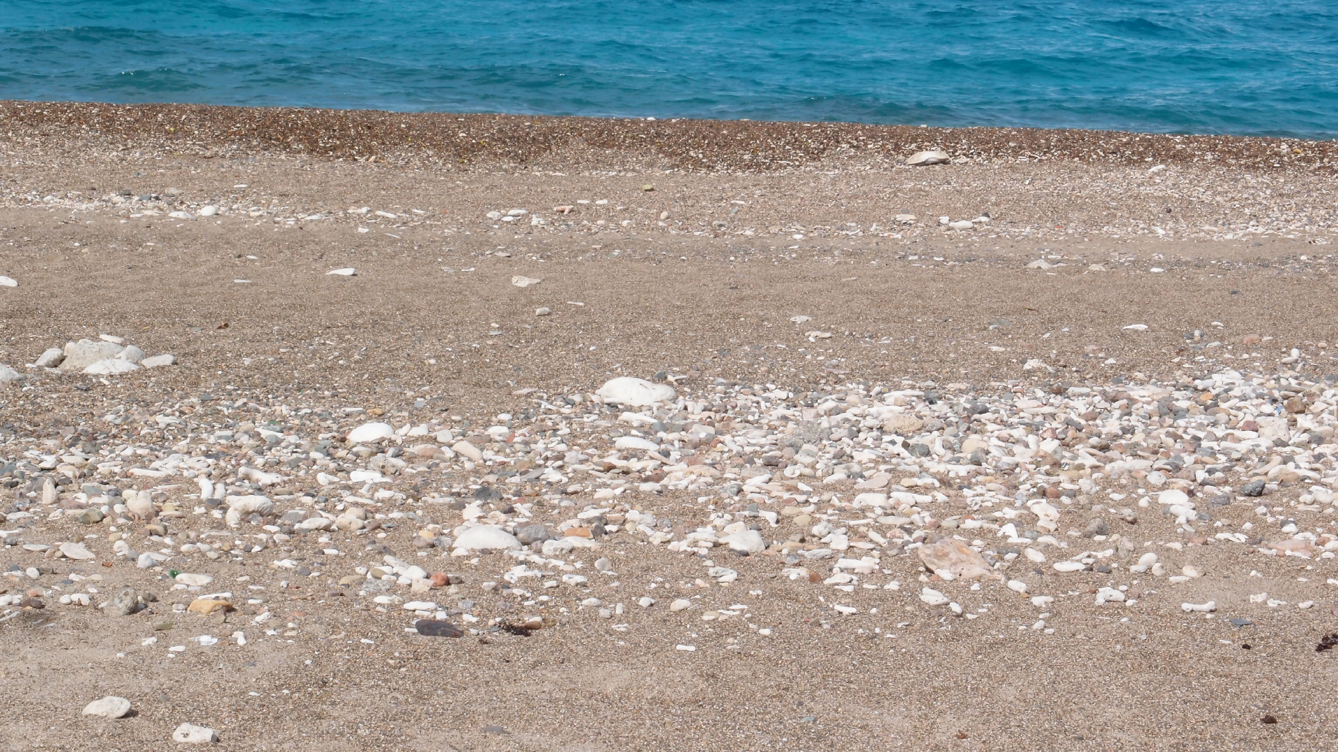 2022-10-29 10 Uhr 40 Wind - Alu (Audio, Foto, Video)