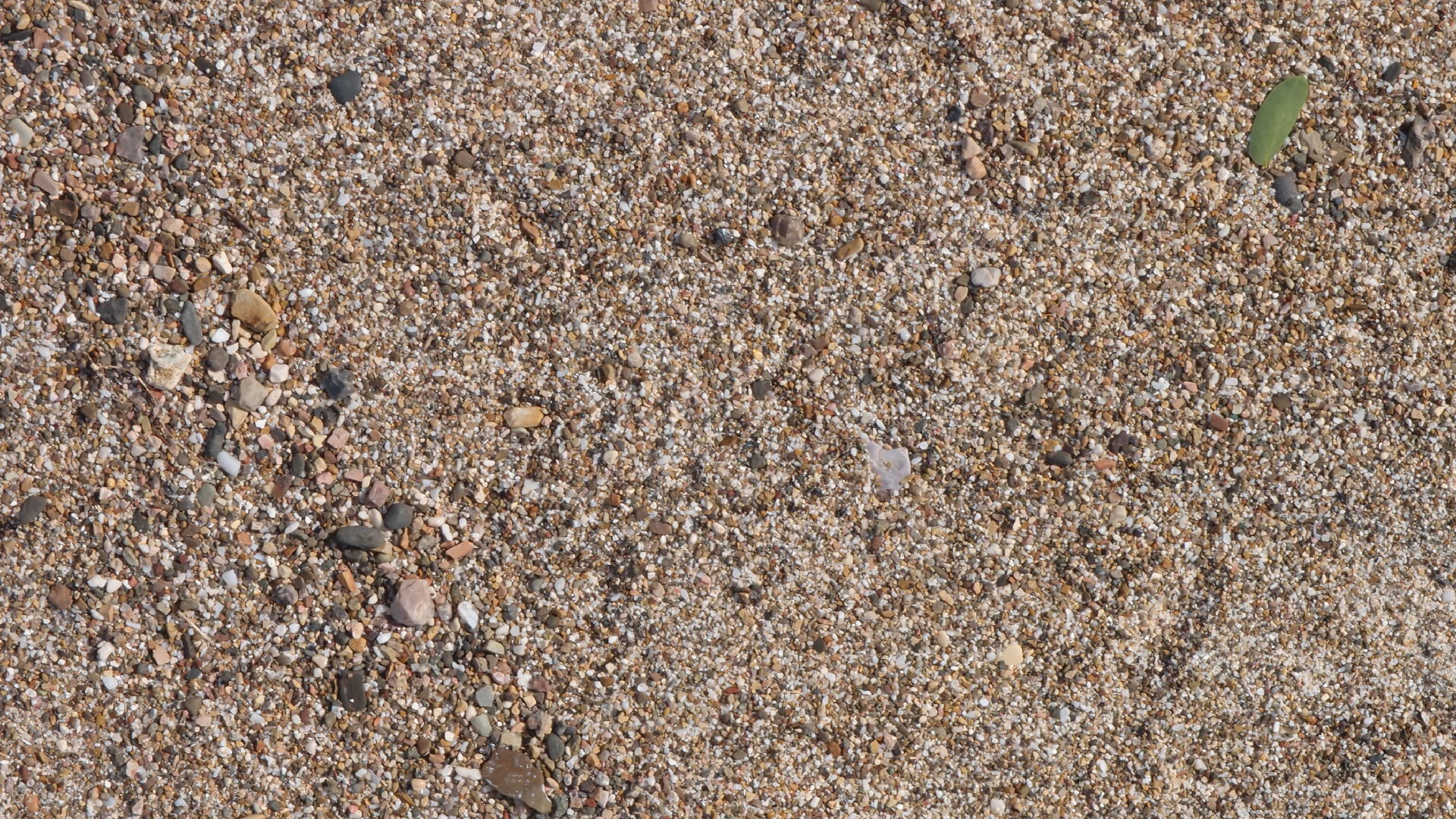 2022-10-29 10 Uhr 40 Wind - Alu (Audio, Foto, Video)