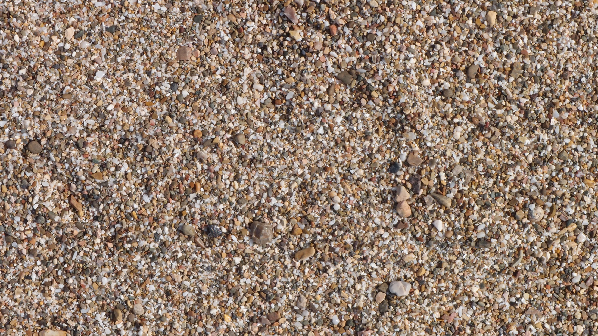 2022-10-29 10 Uhr 40 Wind - Alu (Audio, Foto, Video)