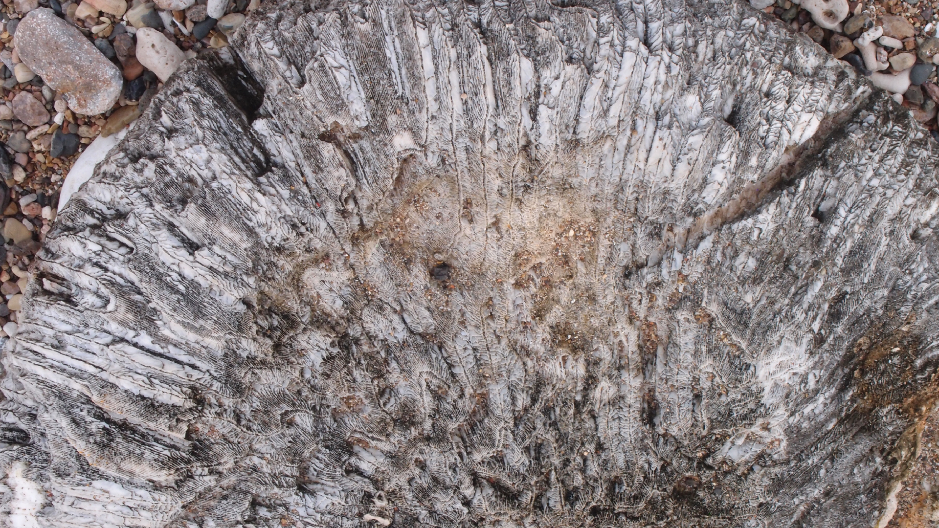 2022-10-29 10 Uhr 40 Wind - Alu (Audio, Foto, Video)