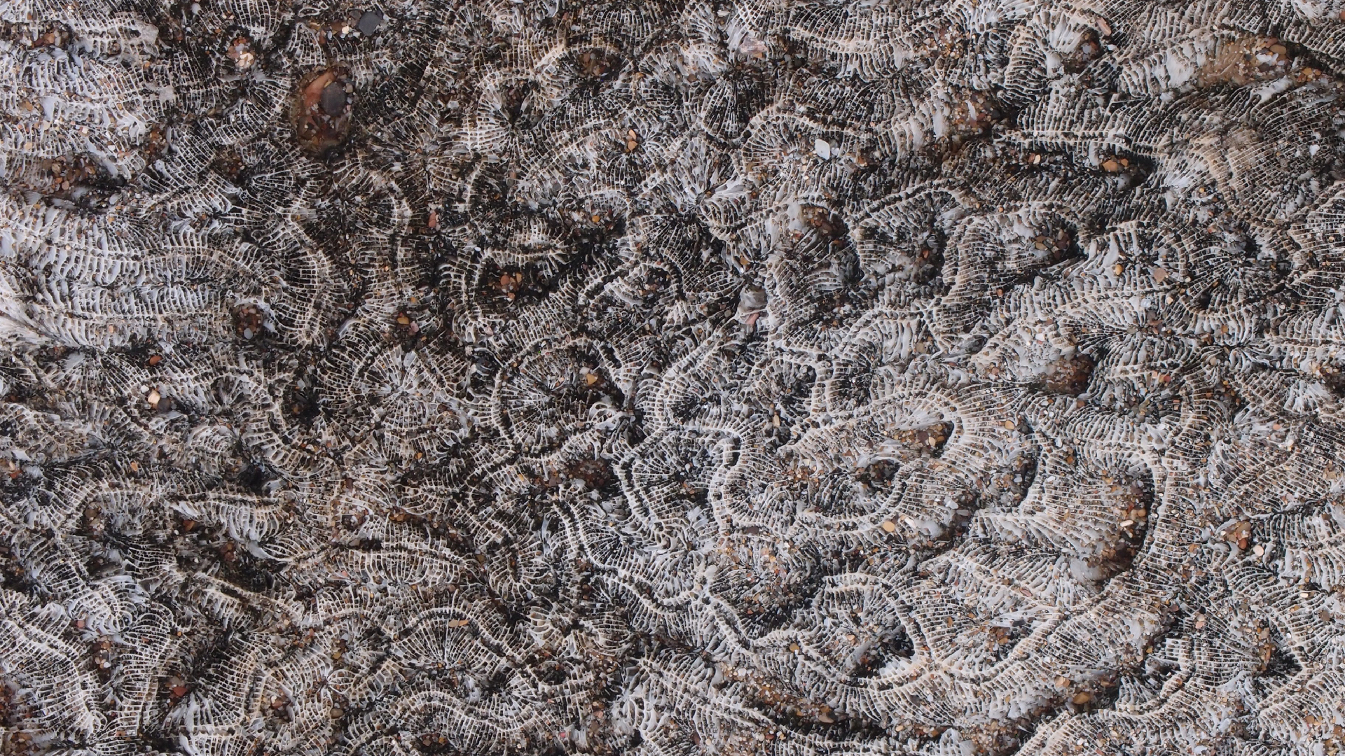 2022-10-29 10 Uhr 40 Wind - Alu (Audio, Foto, Video)