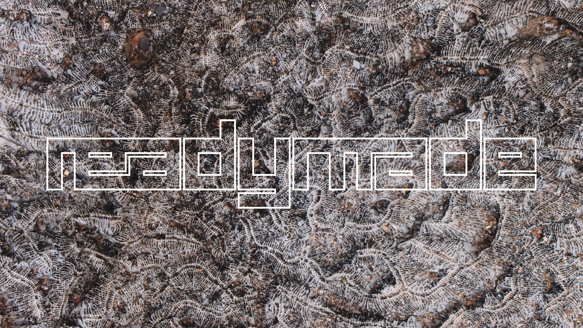 2022-10-29 10 Uhr 40 Wind - Alu (Audio, Foto, Video)