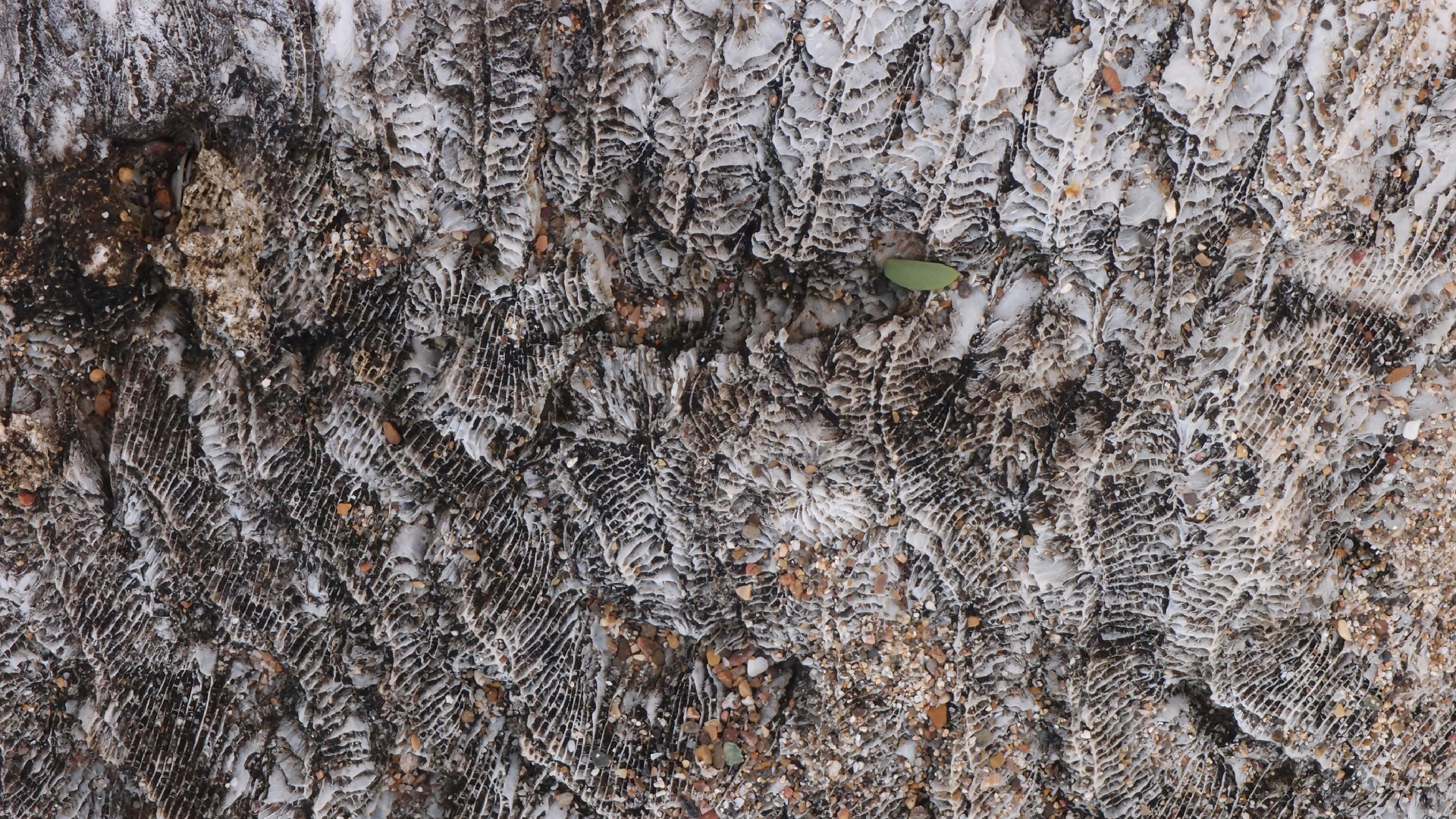 2022-10-29 10 Uhr 40 Wind - Alu (Audio, Foto, Video)