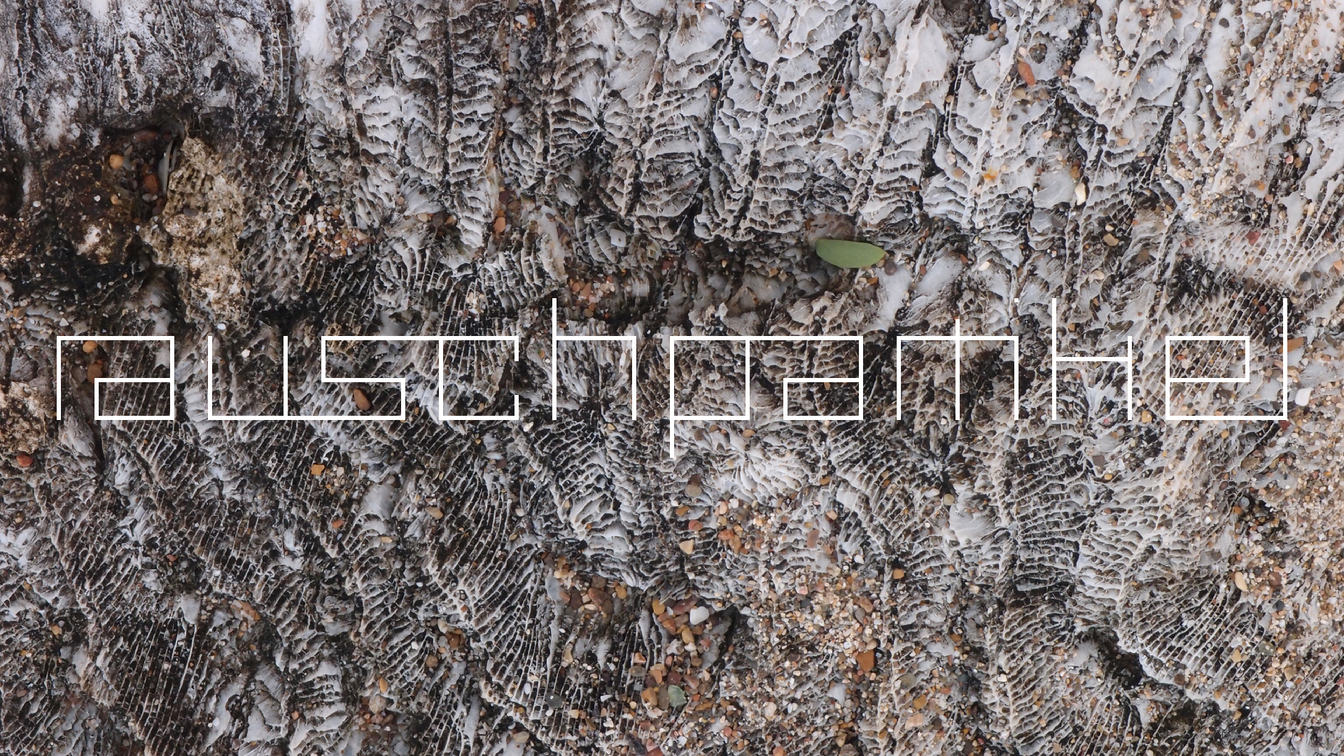 2022-10-29 10 Uhr 40 Wind - Alu (Audio, Foto, Video)