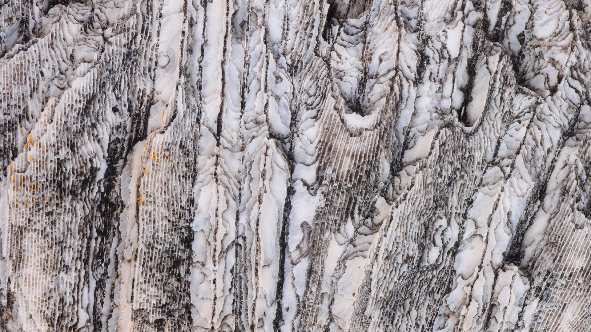 2022-10-29 10 Uhr 40 Wind - Alu (Audio, Foto, Video)