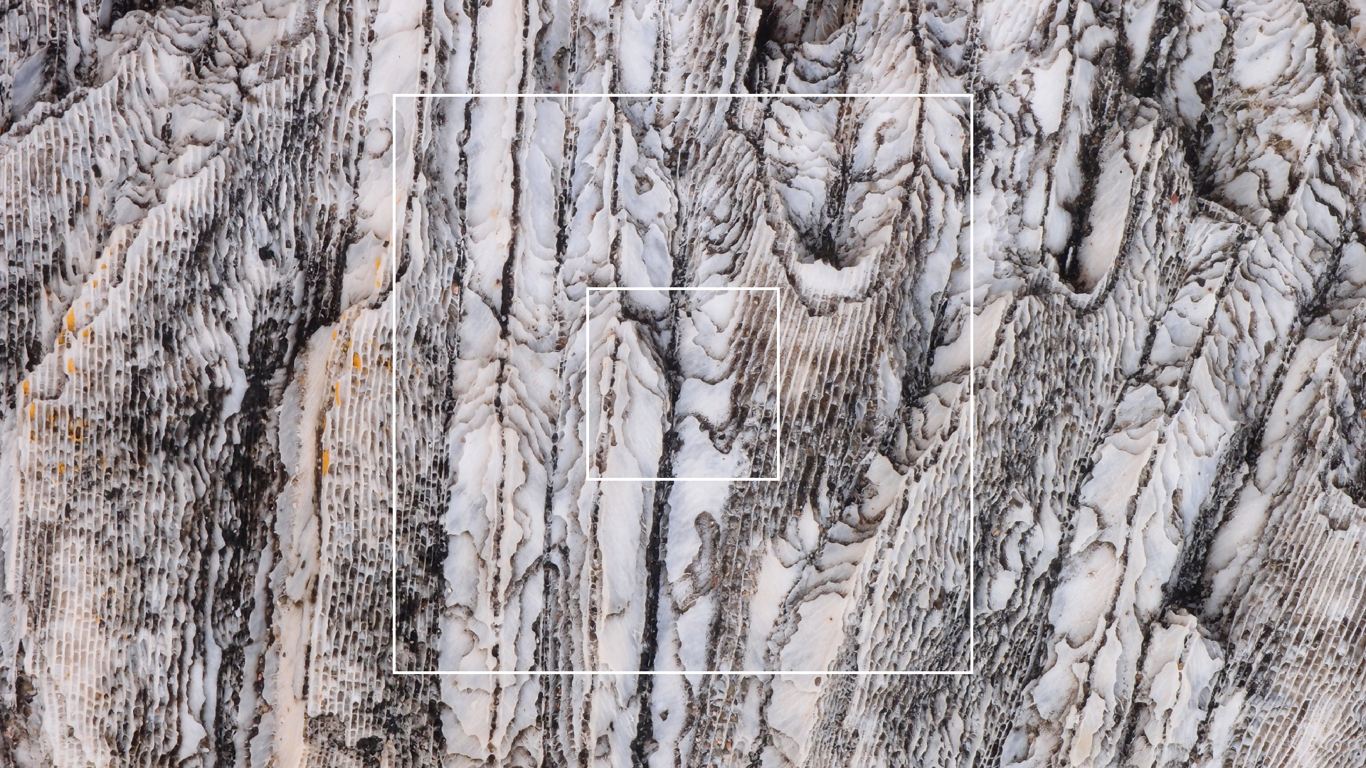 2022-10-29 10 Uhr 40 Wind - Alu (Audio, Foto, Video)