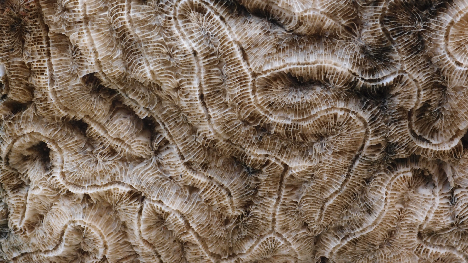 2022-10-29 10 Uhr 40 Wind - Alu (Audio, Foto, Video)