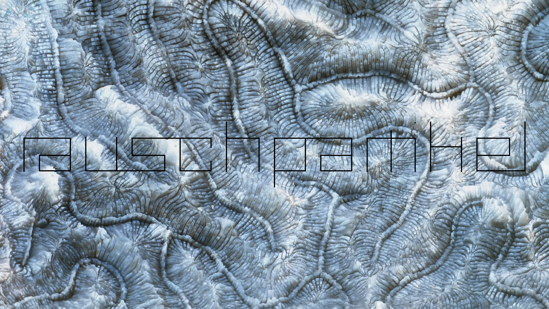 2022-10-29 10 Uhr 40 Wind - Alu (Audio, Foto, Video)