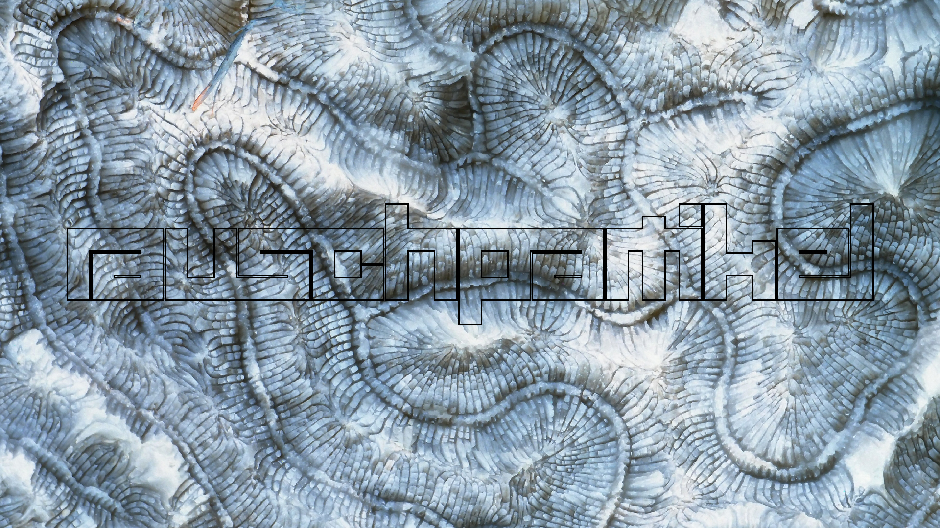 2022-10-29 10 Uhr 40 Wind - Alu (Audio, Foto, Video)