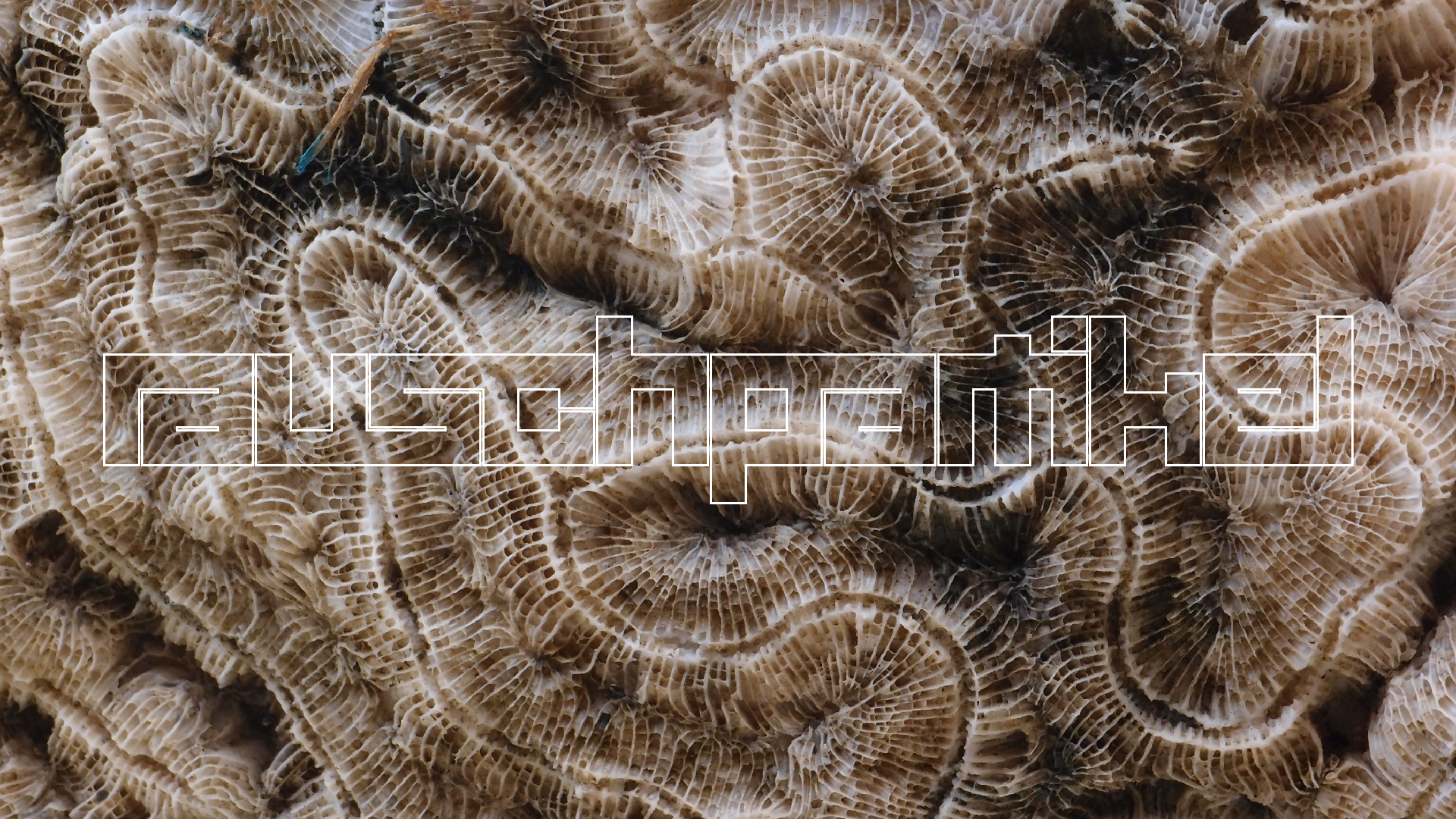 2022-10-29 10 Uhr 40 Wind - Alu (Audio, Foto, Video)