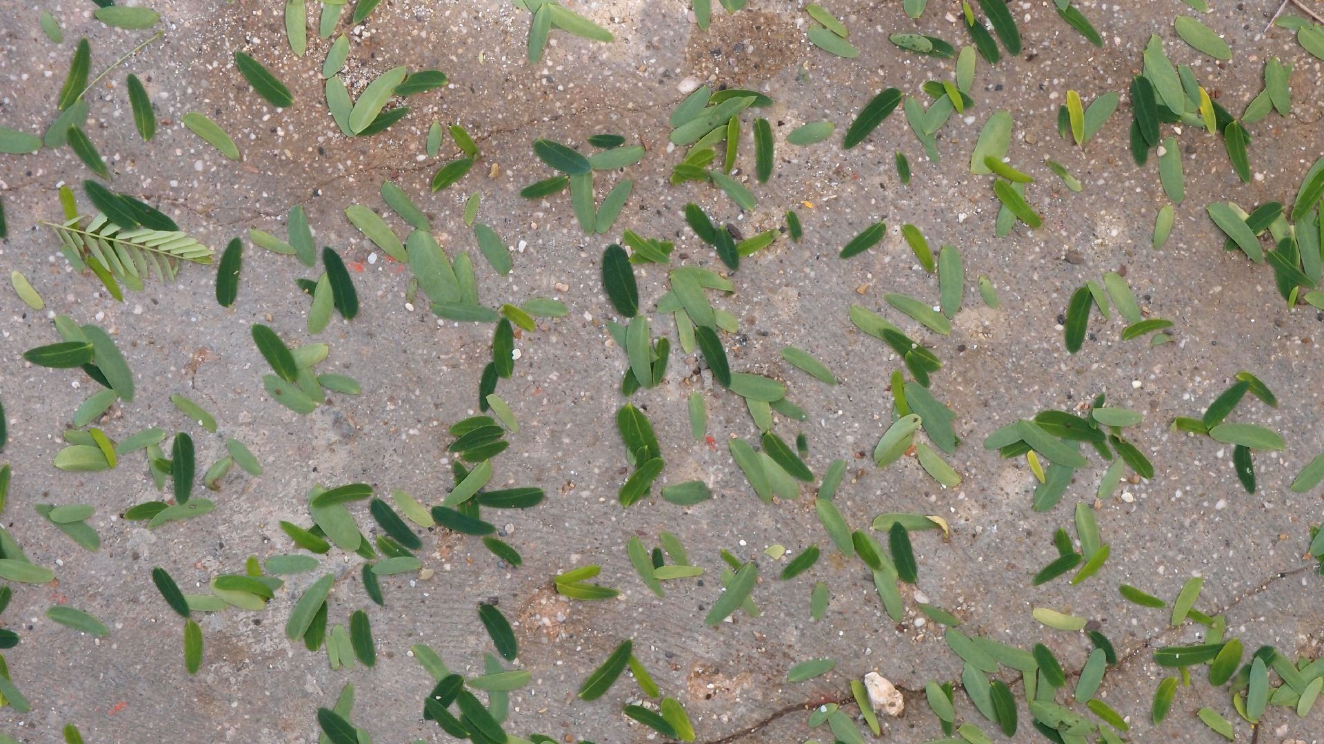 2022-10-29 10 Uhr 40 Wind - Alu (Audio, Foto, Video)