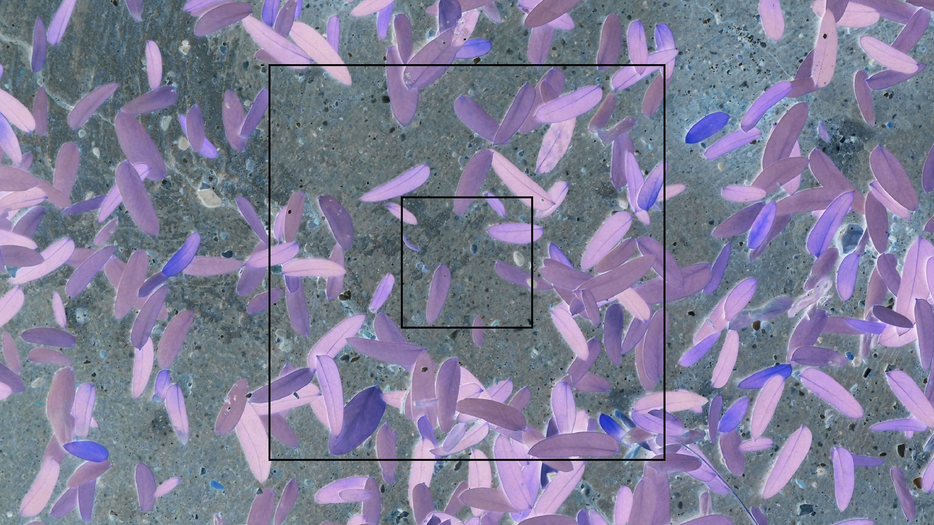 2022-10-29 10 Uhr 40 Wind - Alu (Audio, Foto, Video)