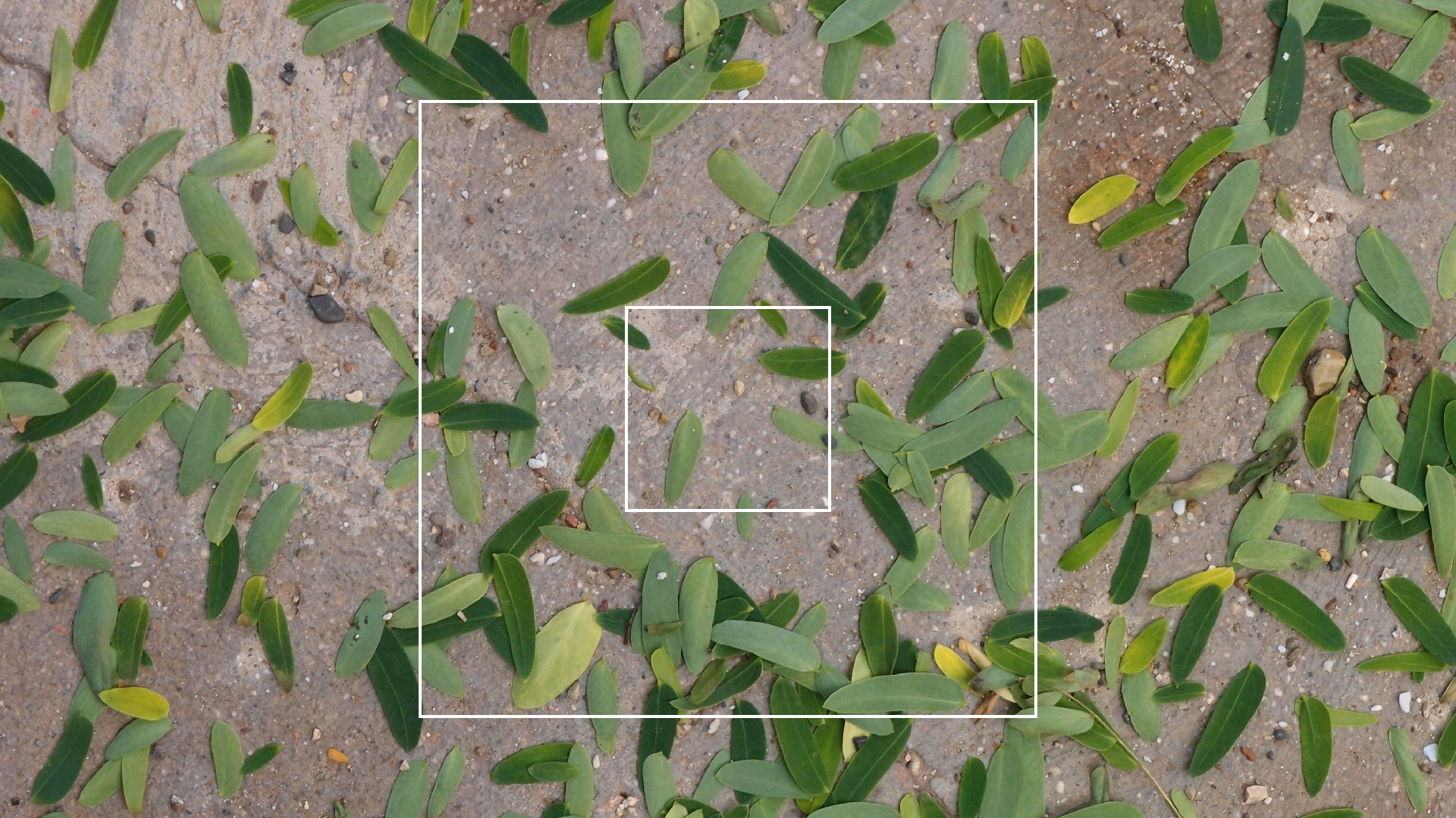 2022-10-29 10 Uhr 40 Wind - Alu (Audio, Foto, Video)