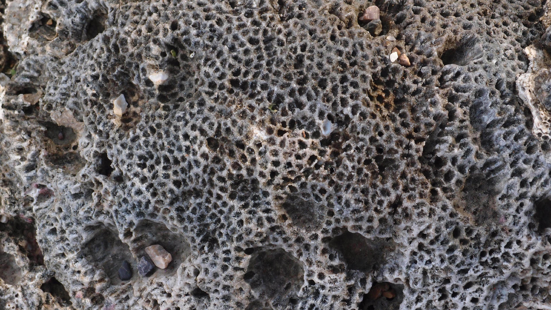 2022-10-29 10 Uhr 40 Wind - Alu (Audio, Foto, Video)