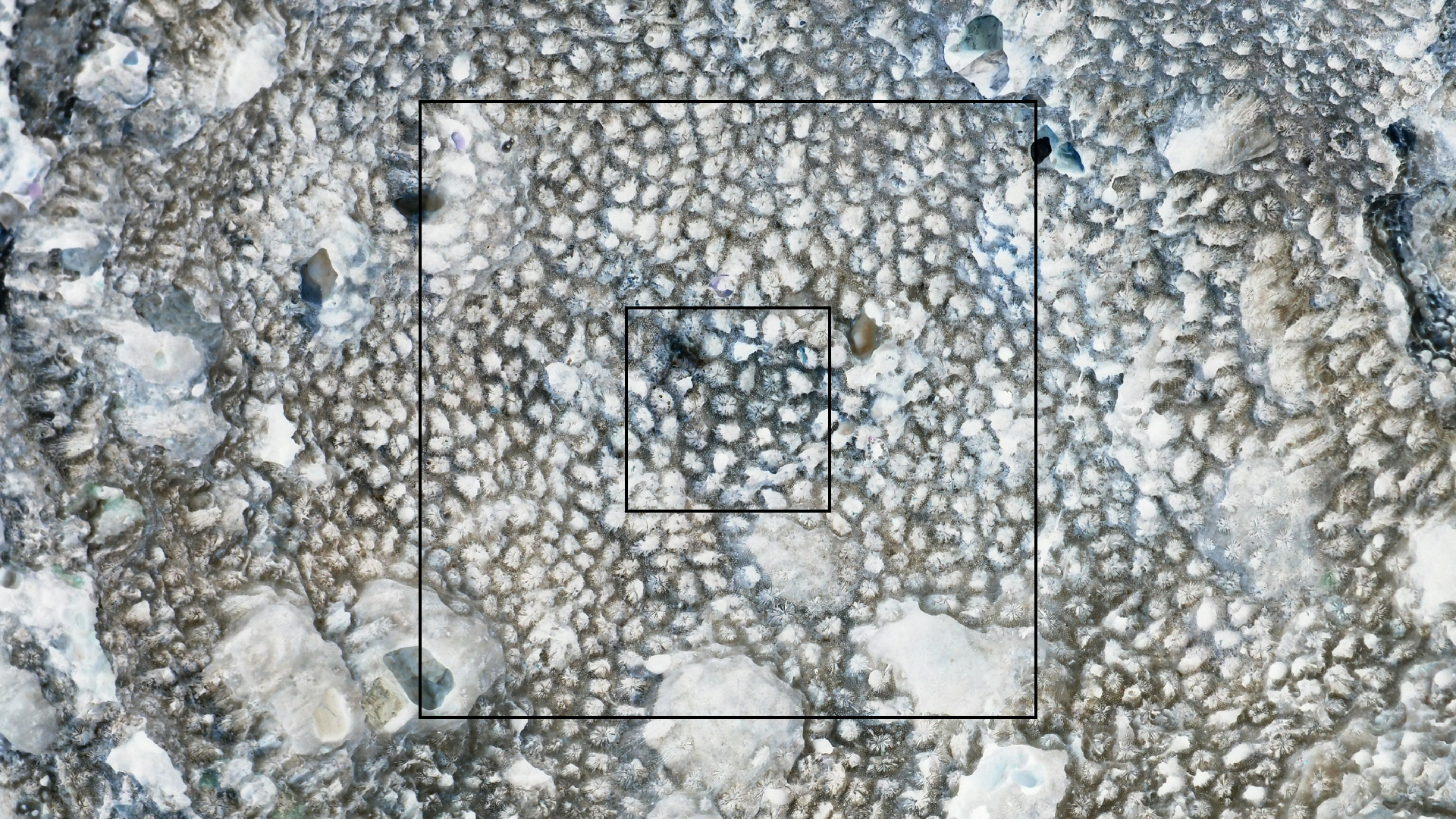 2022-10-29 10 Uhr 40 Wind - Alu (Audio, Foto, Video)