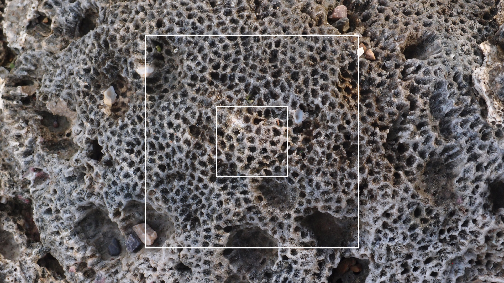 2022-10-29 10 Uhr 40 Wind - Alu (Audio, Foto, Video)