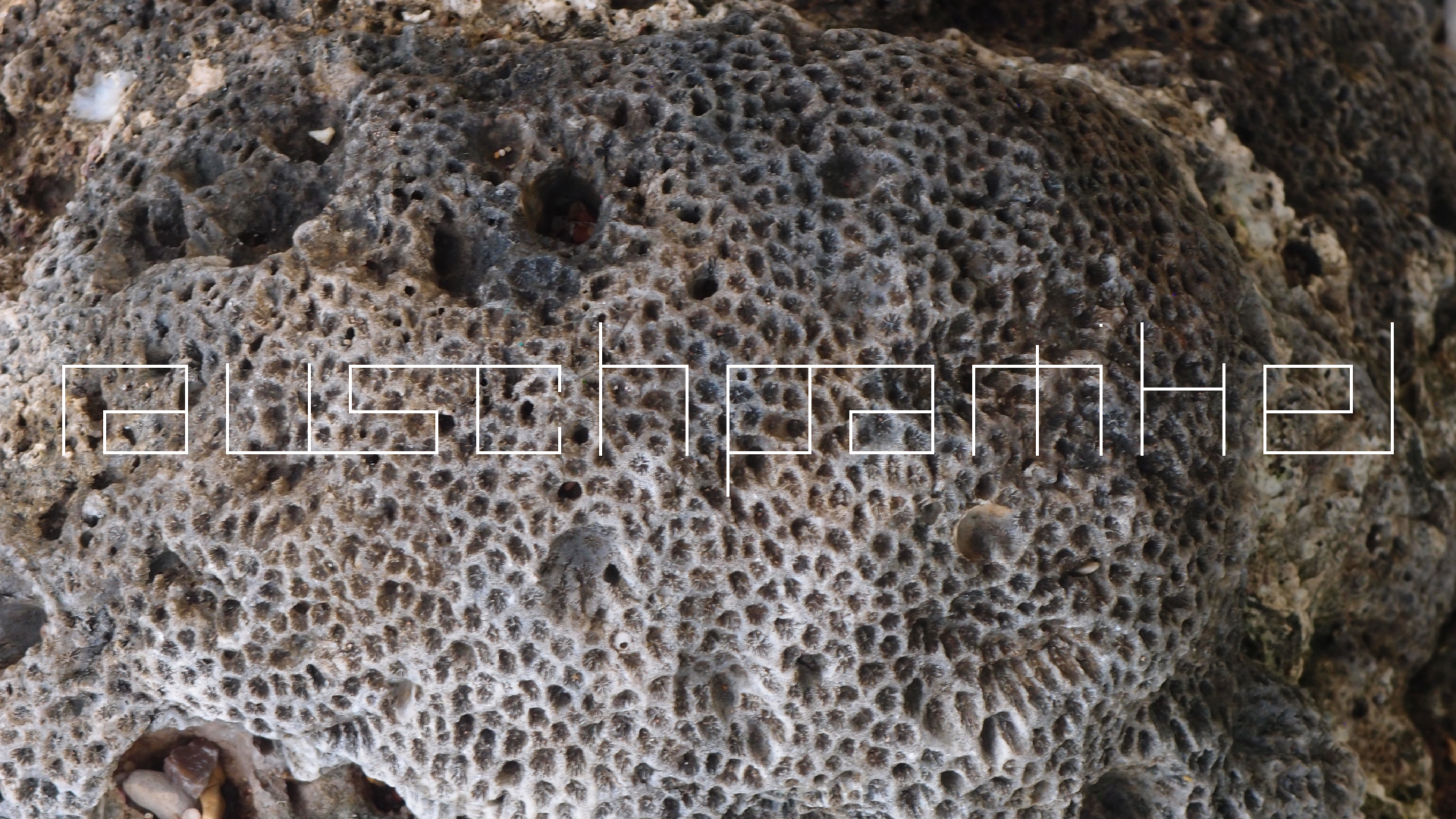 2022-10-29 10 Uhr 40 Wind - Alu (Audio, Foto, Video)