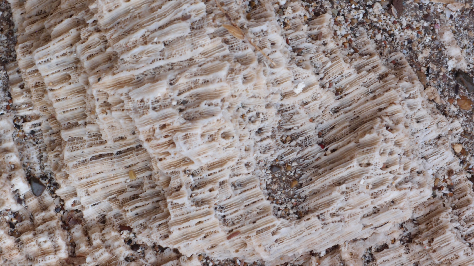 2022-10-29 10 Uhr 40 Wind - Alu (Audio, Foto, Video)