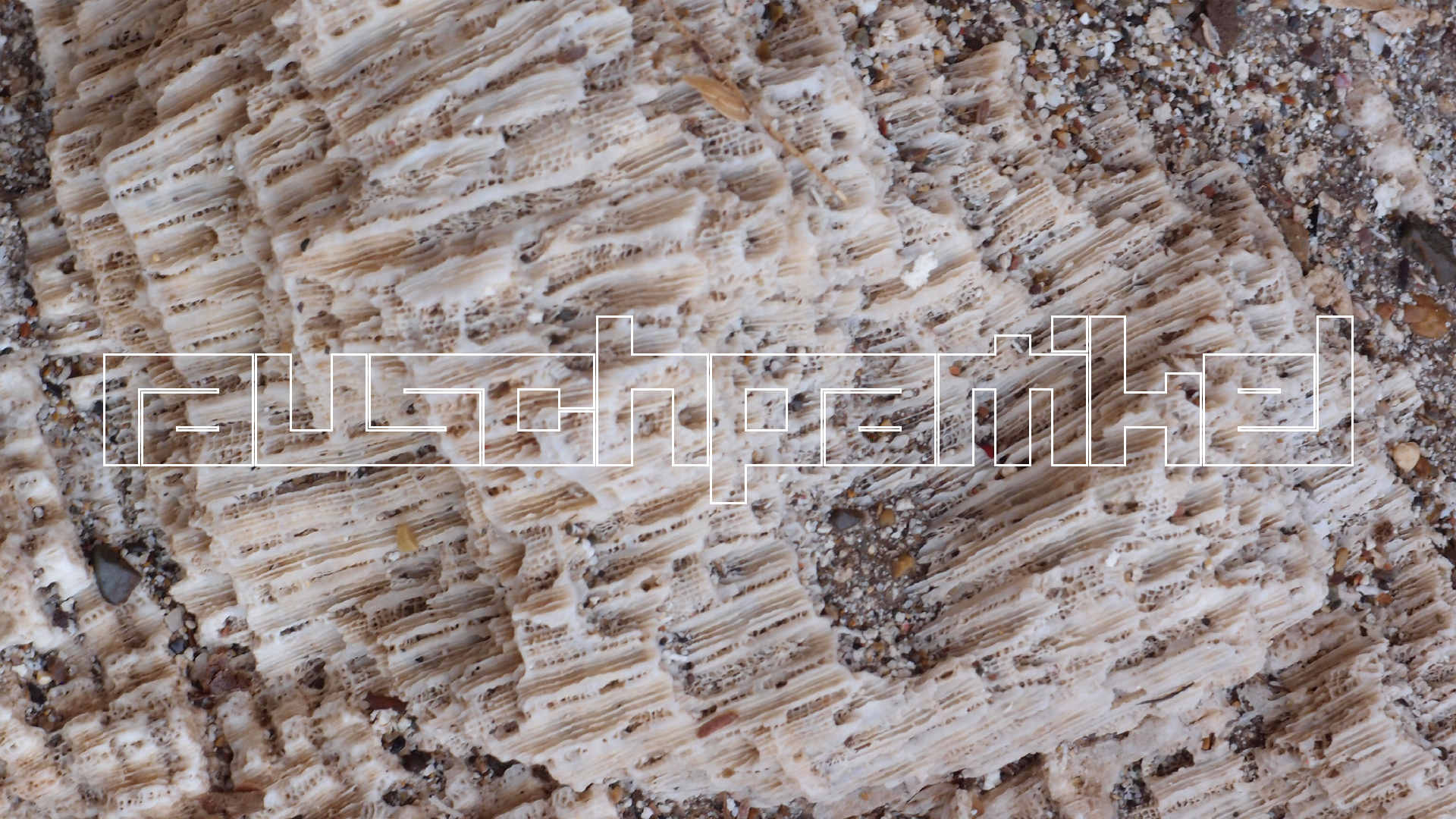 2022-10-29 10 Uhr 40 Wind - Alu (Audio, Foto, Video)