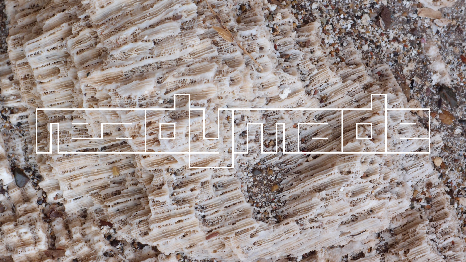 2022-10-29 10 Uhr 40 Wind - Alu (Audio, Foto, Video)