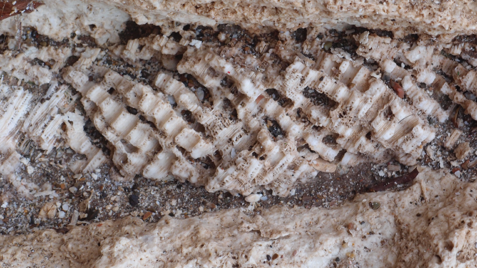 2022-10-29 10 Uhr 40 Wind - Alu (Audio, Foto, Video)