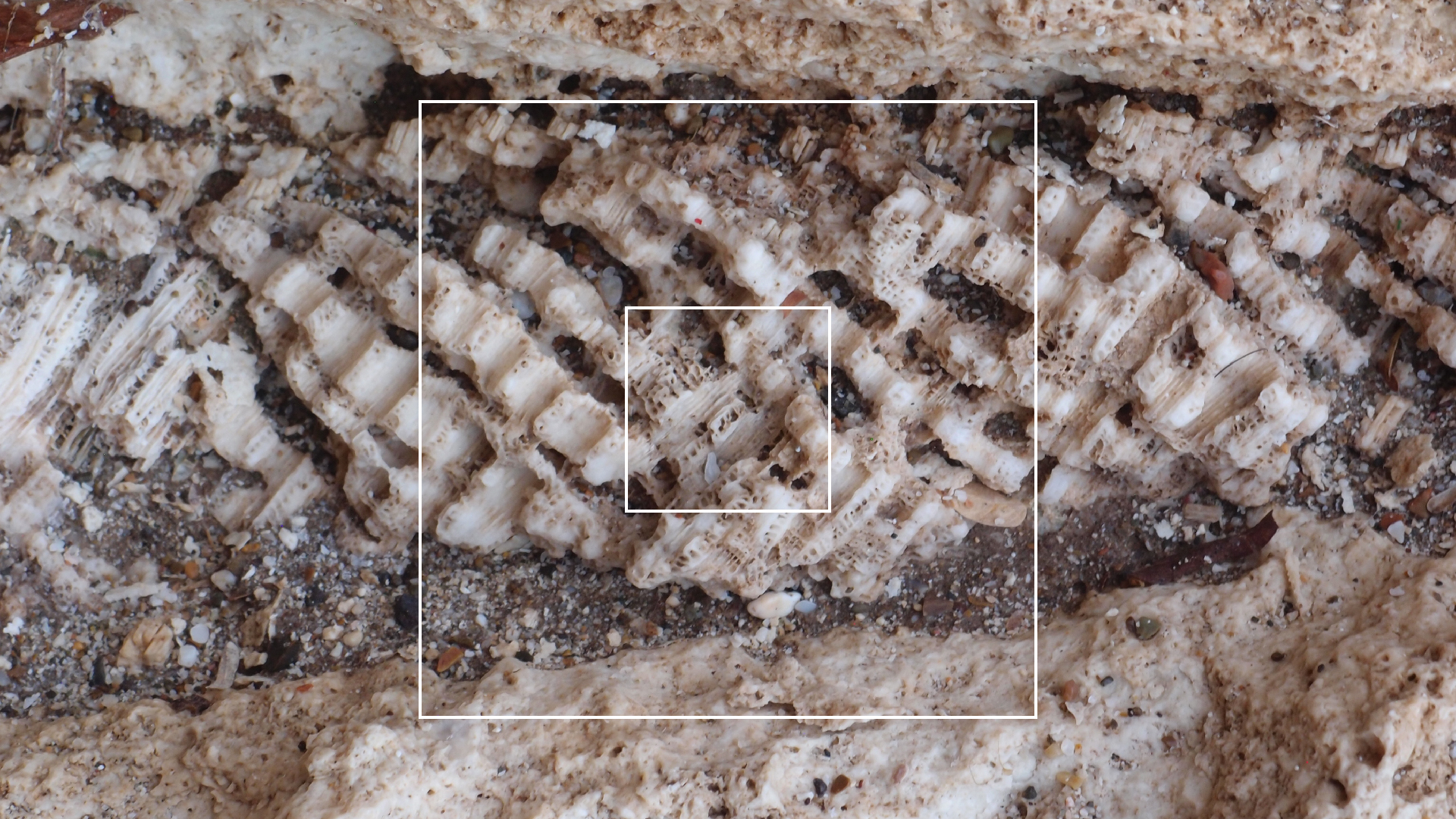 2022-10-29 10 Uhr 40 Wind - Alu (Audio, Foto, Video)