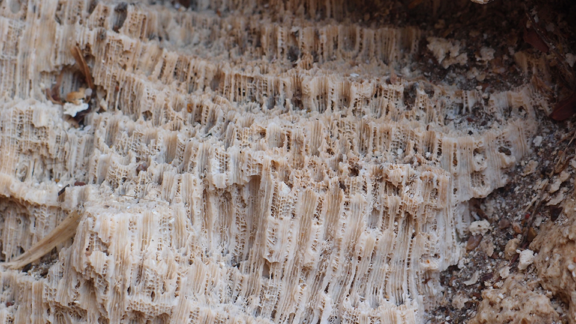 2022-10-29 10 Uhr 40 Wind - Alu (Audio, Foto, Video)