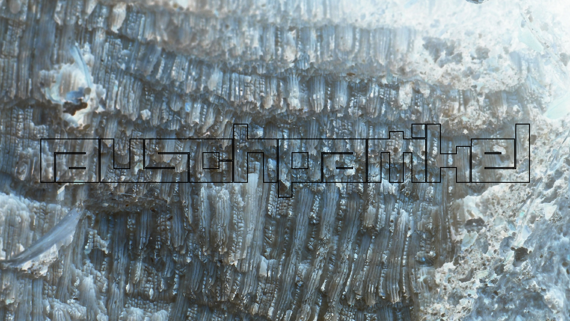 2022-10-29 10 Uhr 40 Wind - Alu (Audio, Foto, Video)